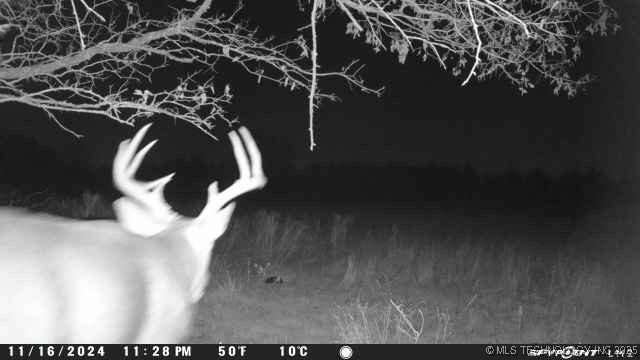 0000 Platter Property Photo 22