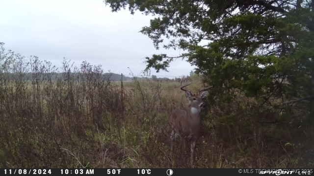 0000 Platter Property Photo 23