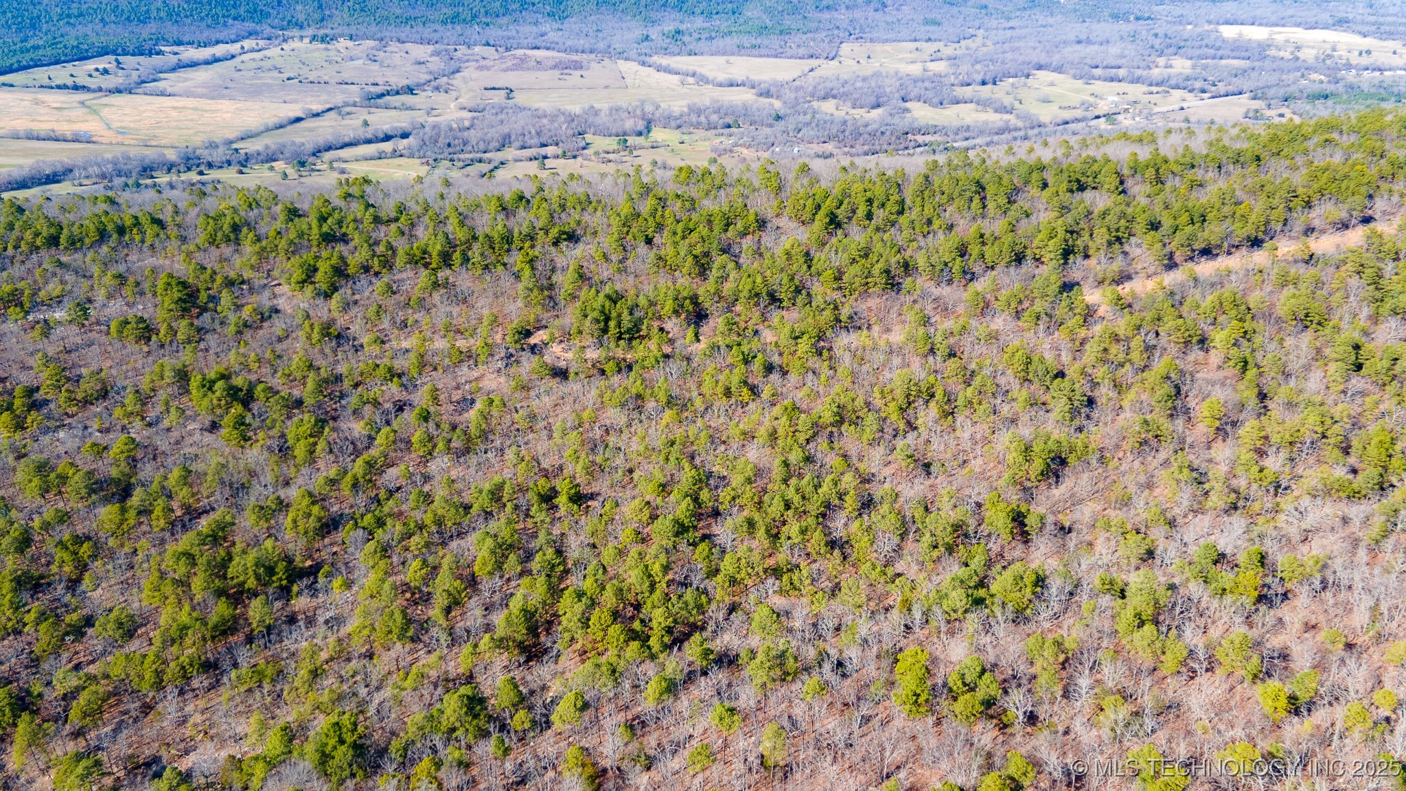 29000 State Hwy 43 Property Photo 4