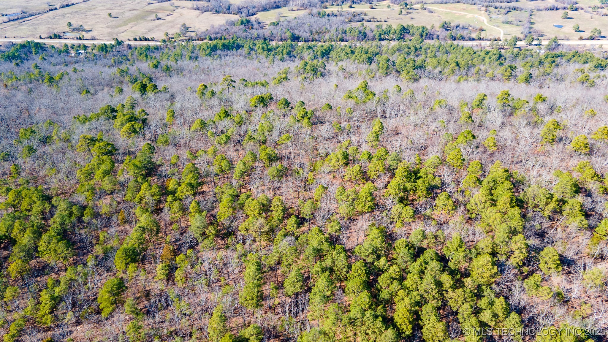 29000 State Hwy 43 Property Photo 9