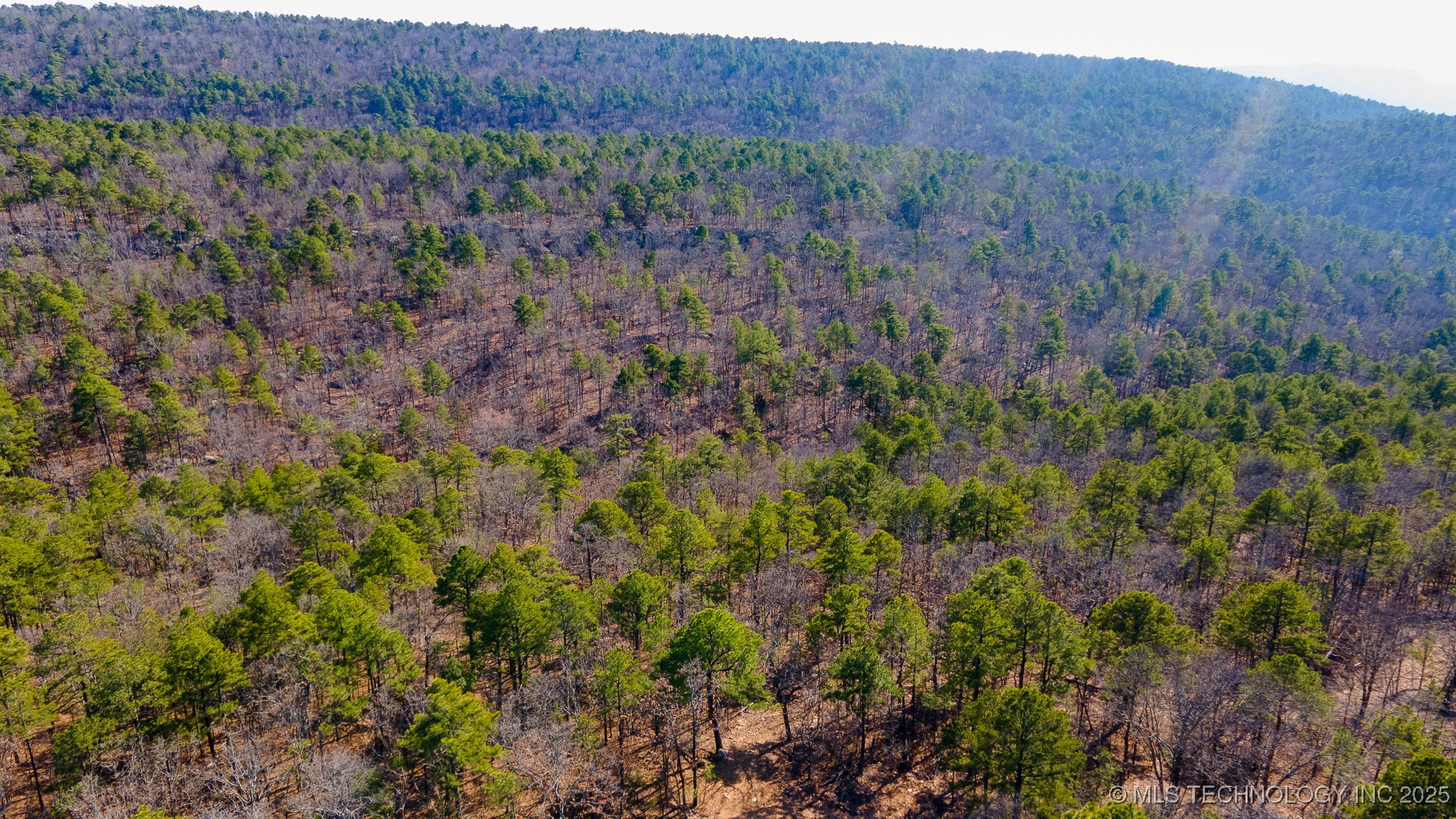 29000 State Hwy 43 Property Photo 10