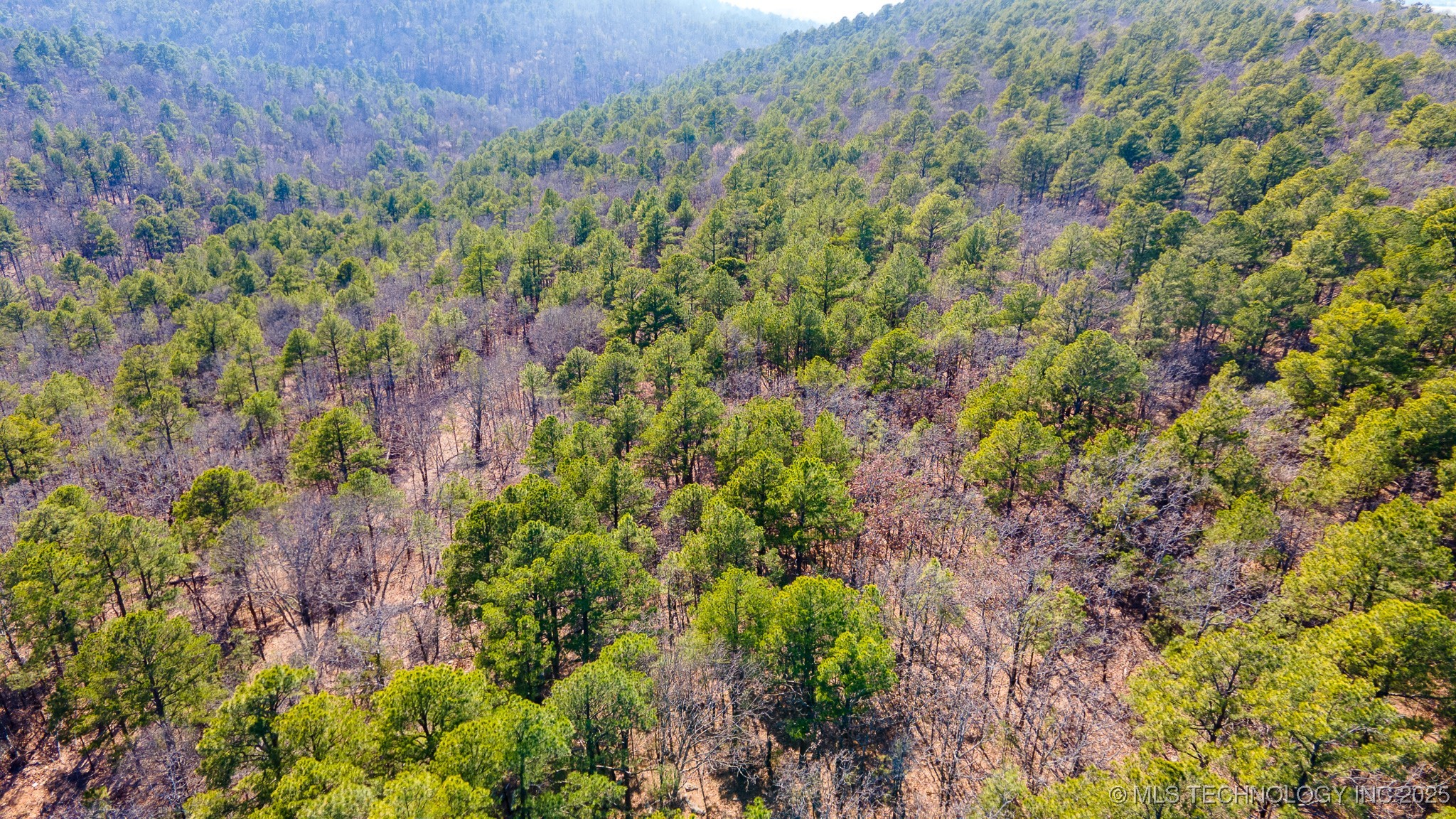 29000 State Hwy 43 Property Photo 11