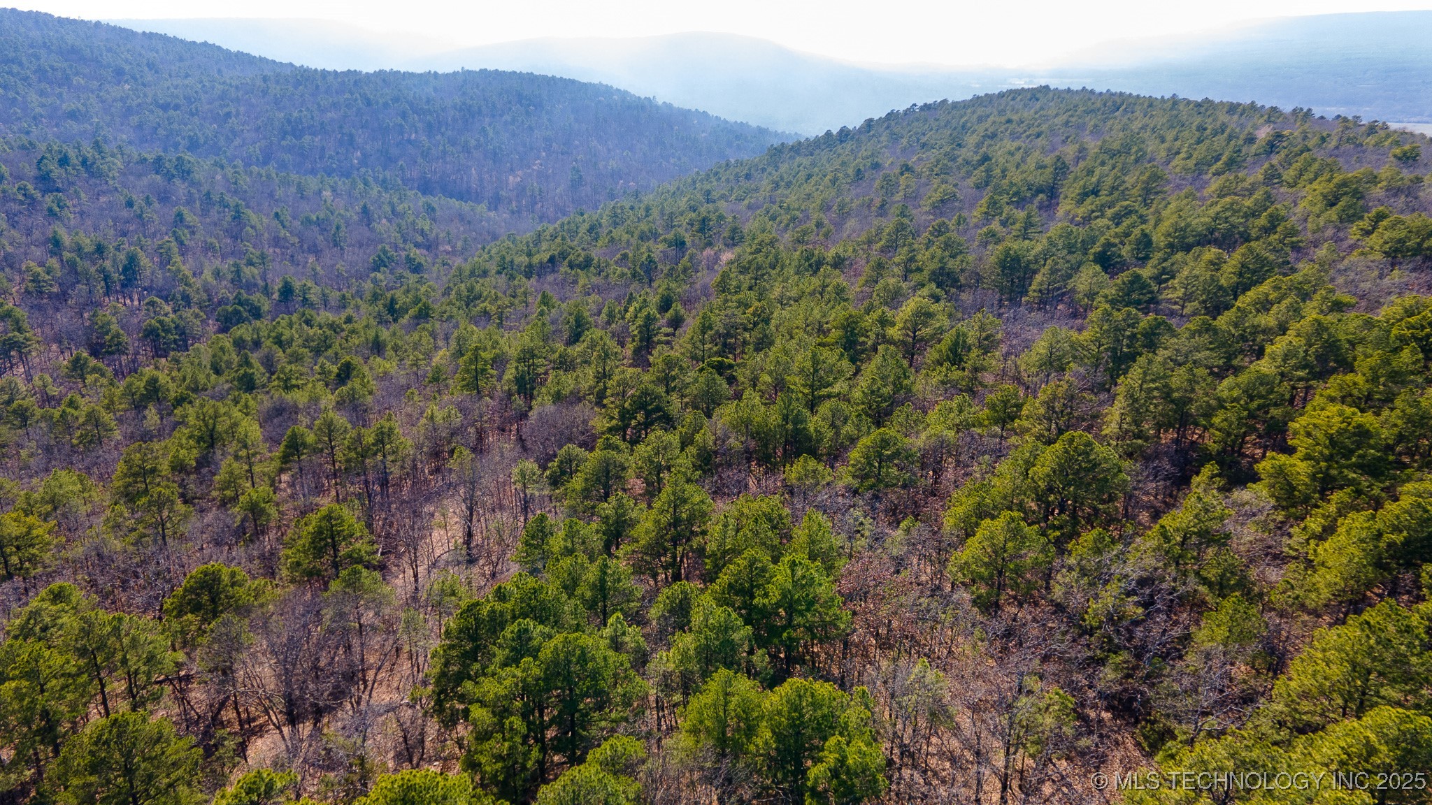 29000 State Hwy 43 Property Photo 12