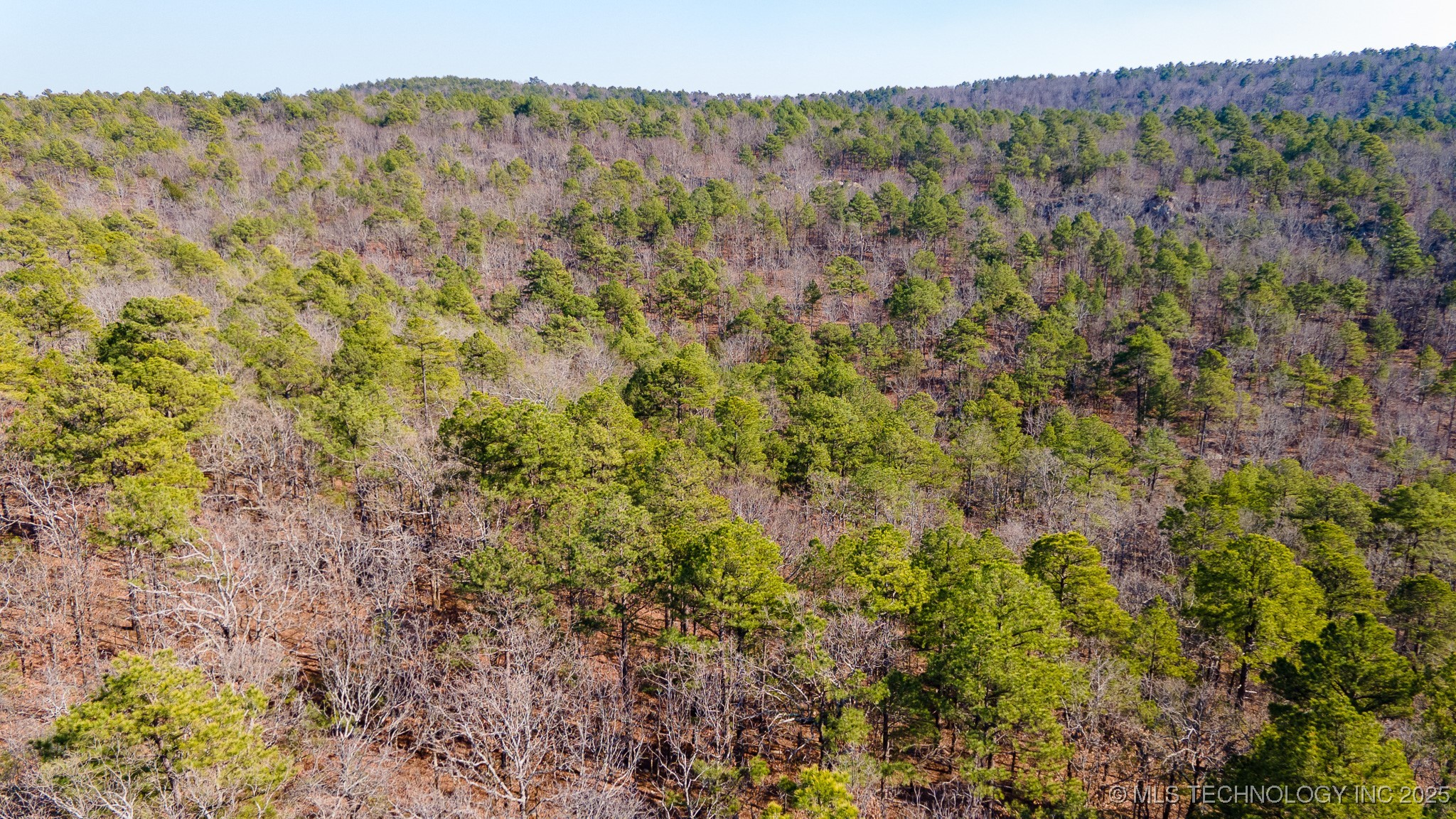 29000 State Hwy 43 Property Photo 13