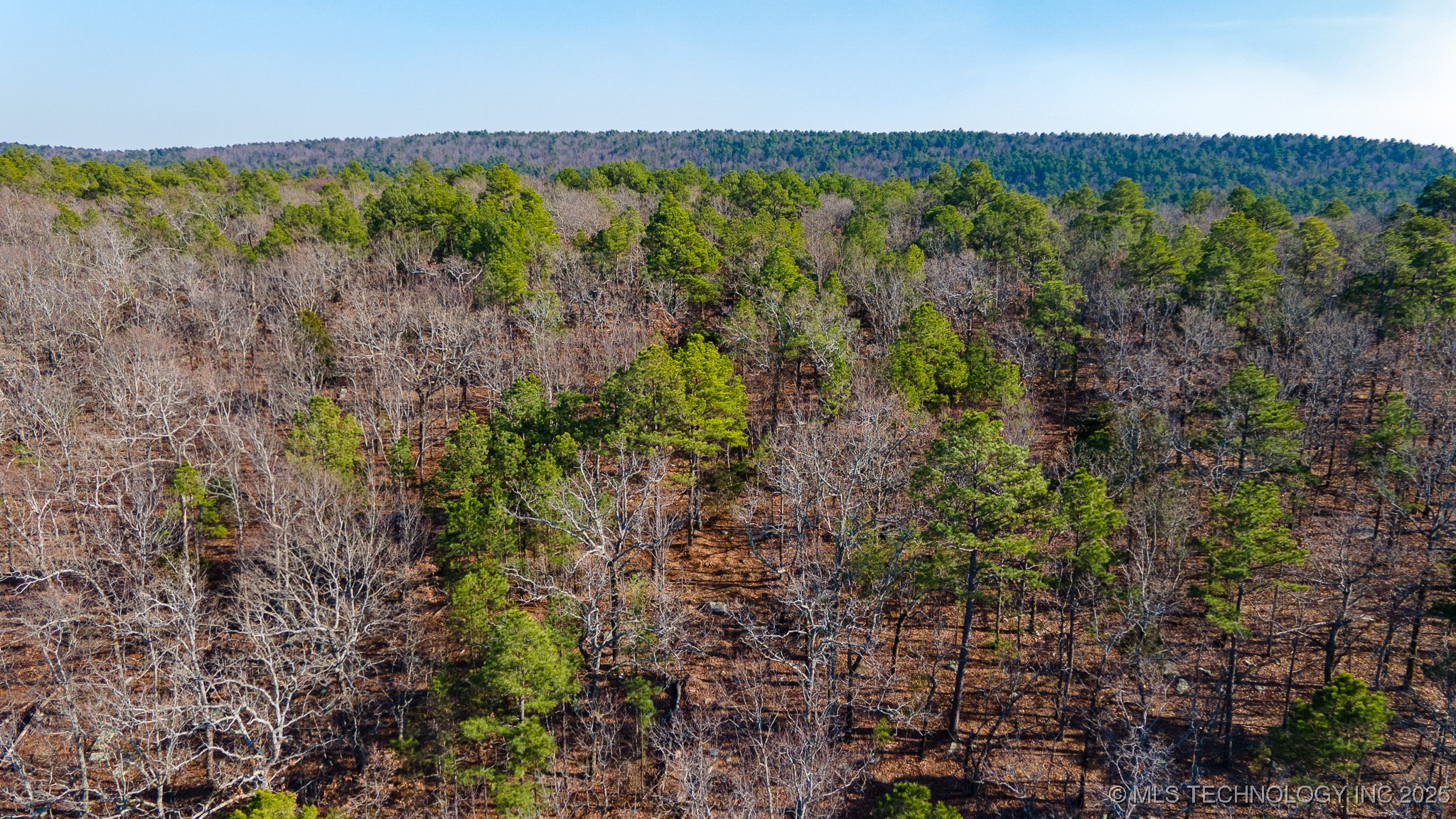 29000 State Hwy 43 Property Photo 16