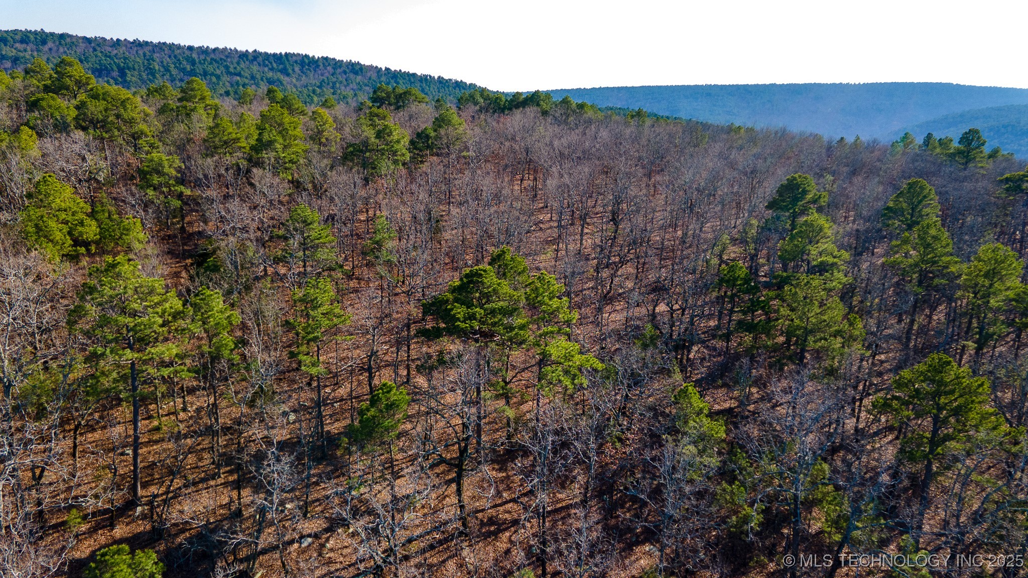 29000 State Hwy 43 Property Photo 17