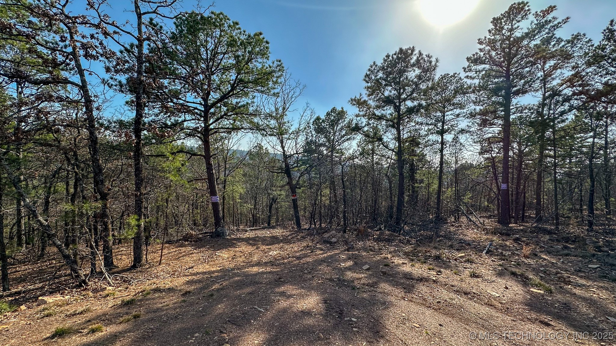 29000 State Hwy 43 Property Photo 27