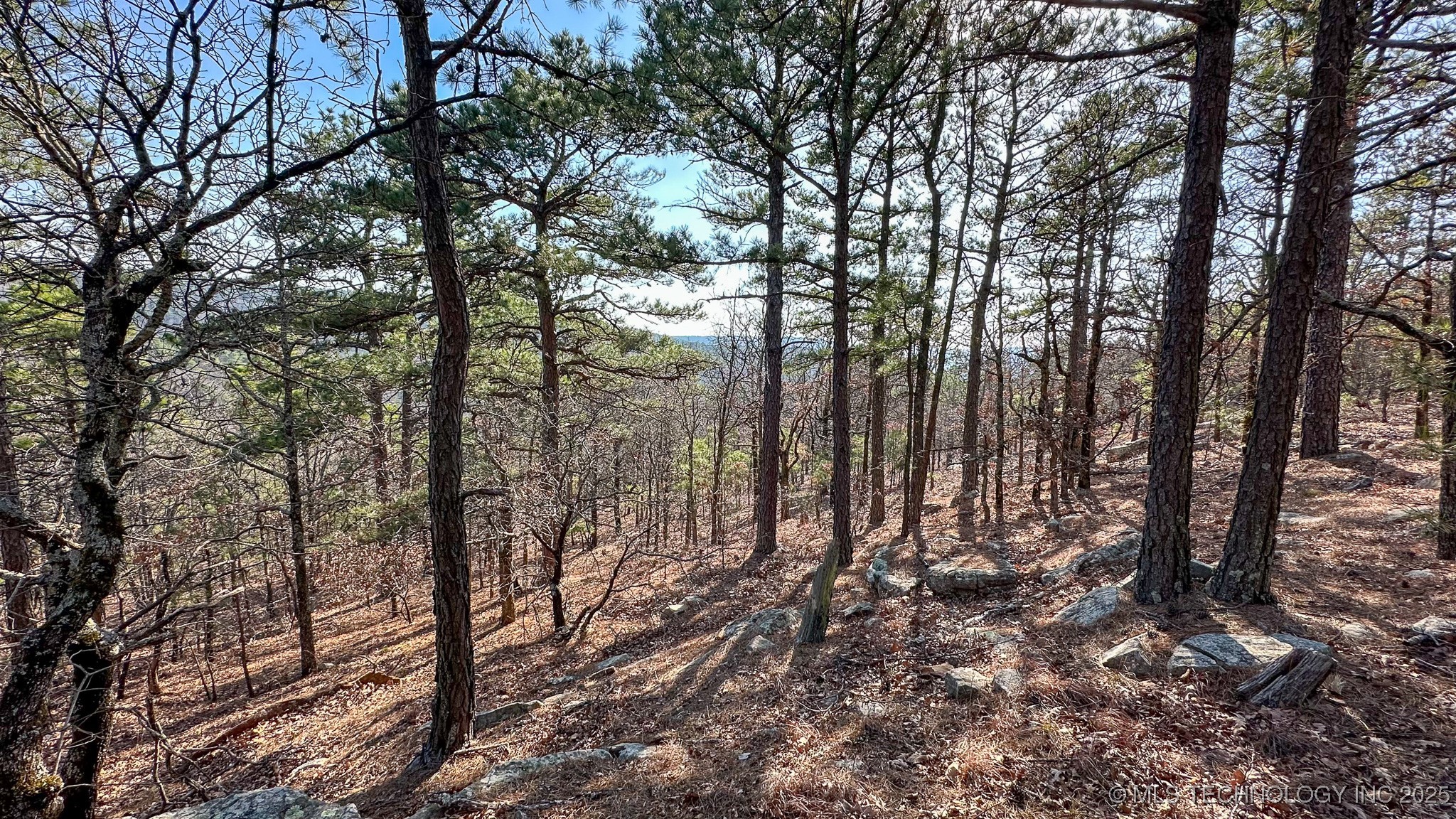 29000 State Hwy 43 Property Photo 28