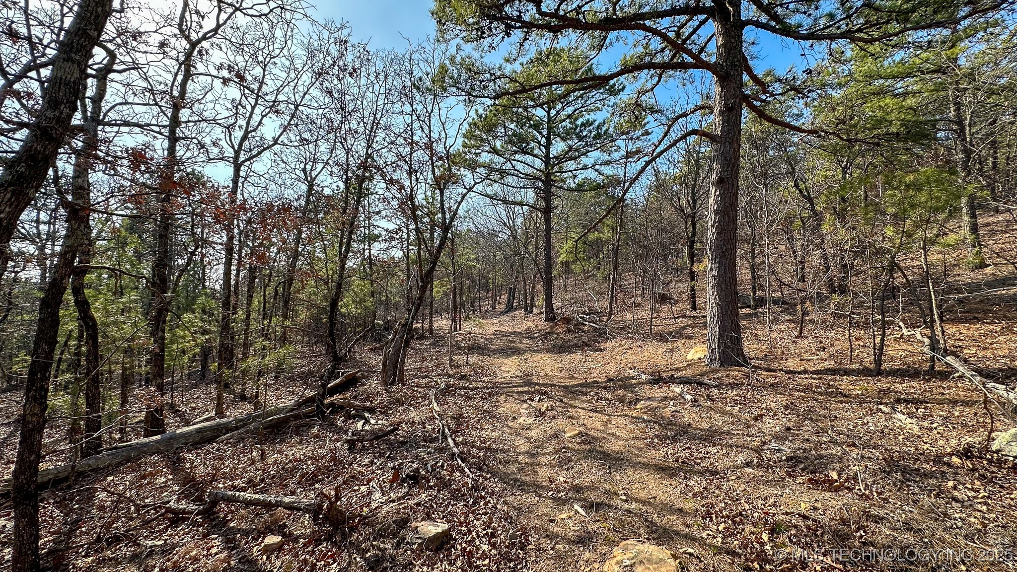 29000 State Hwy 43 Property Photo 29