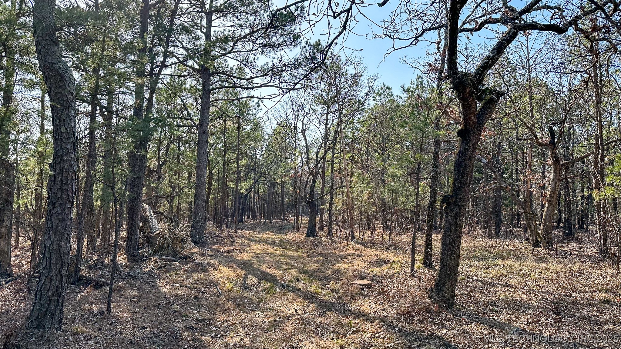 29000 State Hwy 43 Property Photo 30