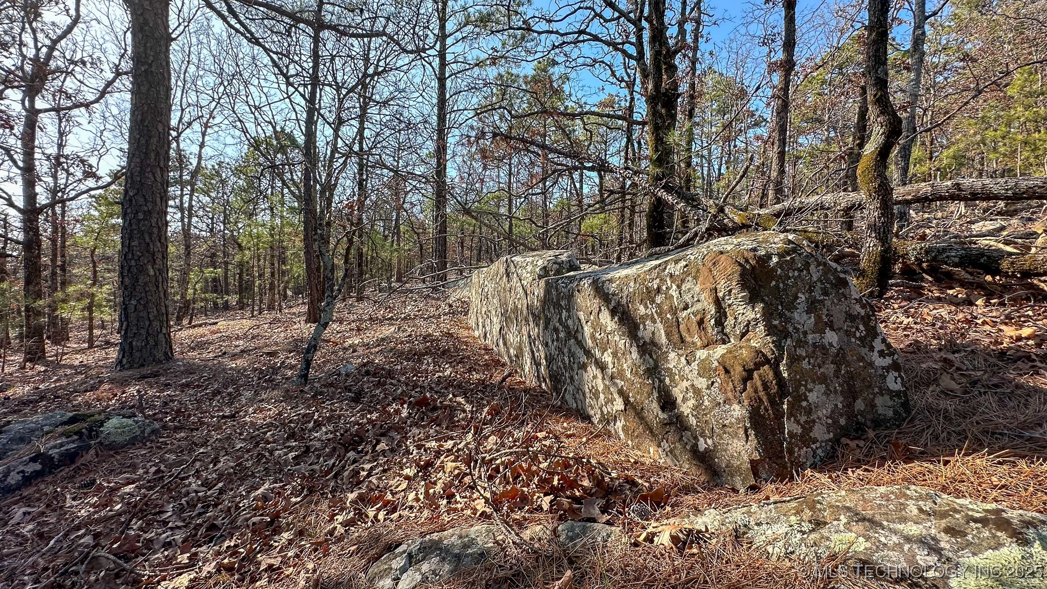 29000 State Hwy 43 Property Photo 31