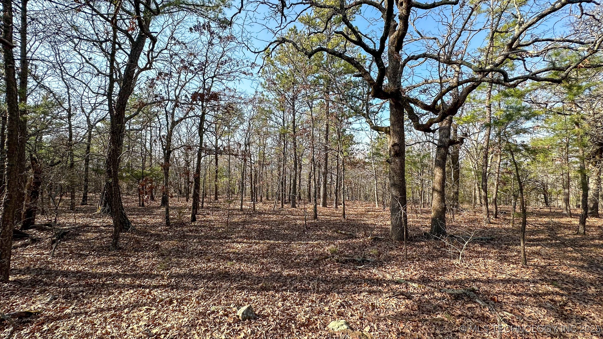 29000 State Hwy 43 Property Photo 32