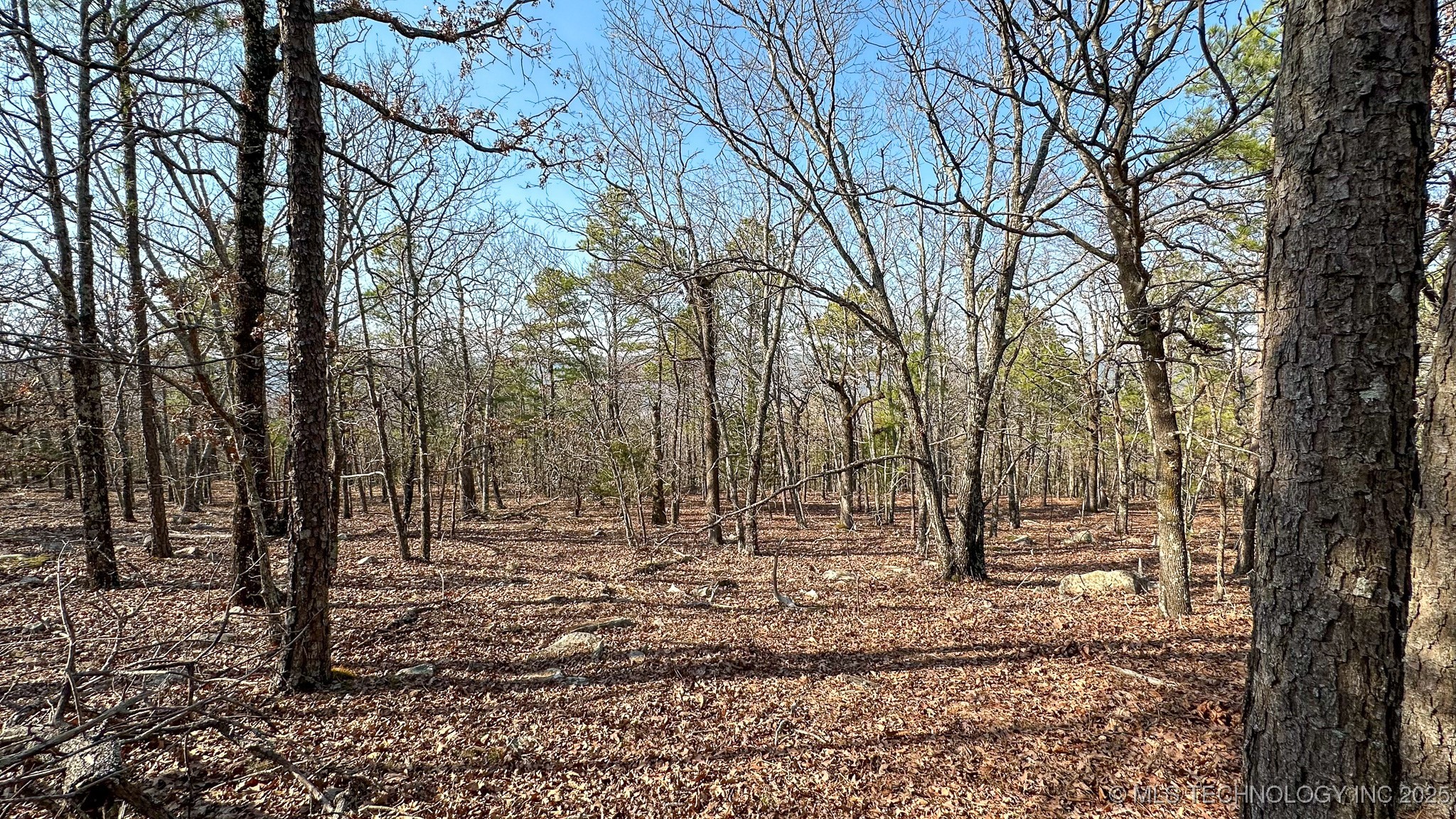 29000 State Hwy 43 Property Photo 33