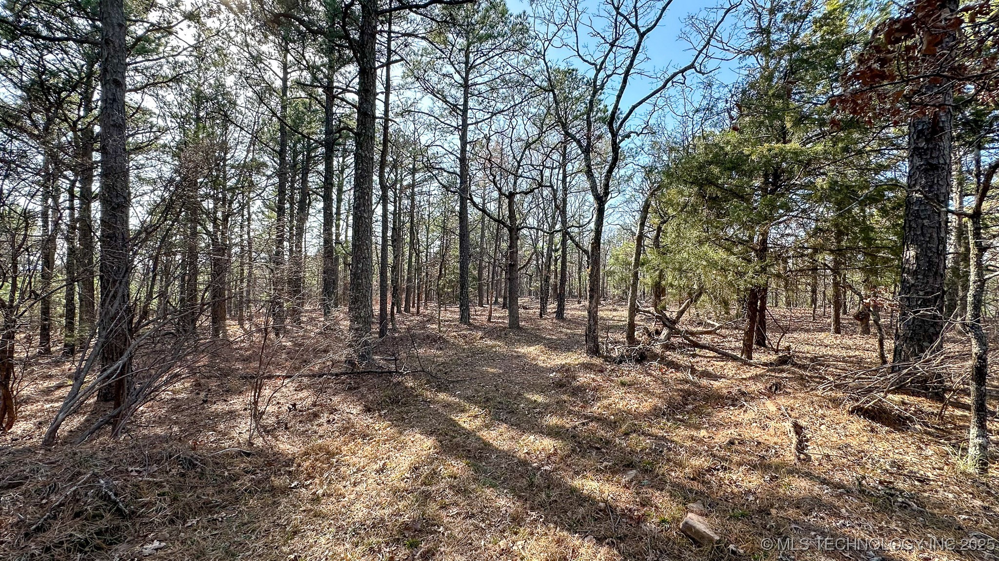 29000 State Hwy 43 Property Photo 34