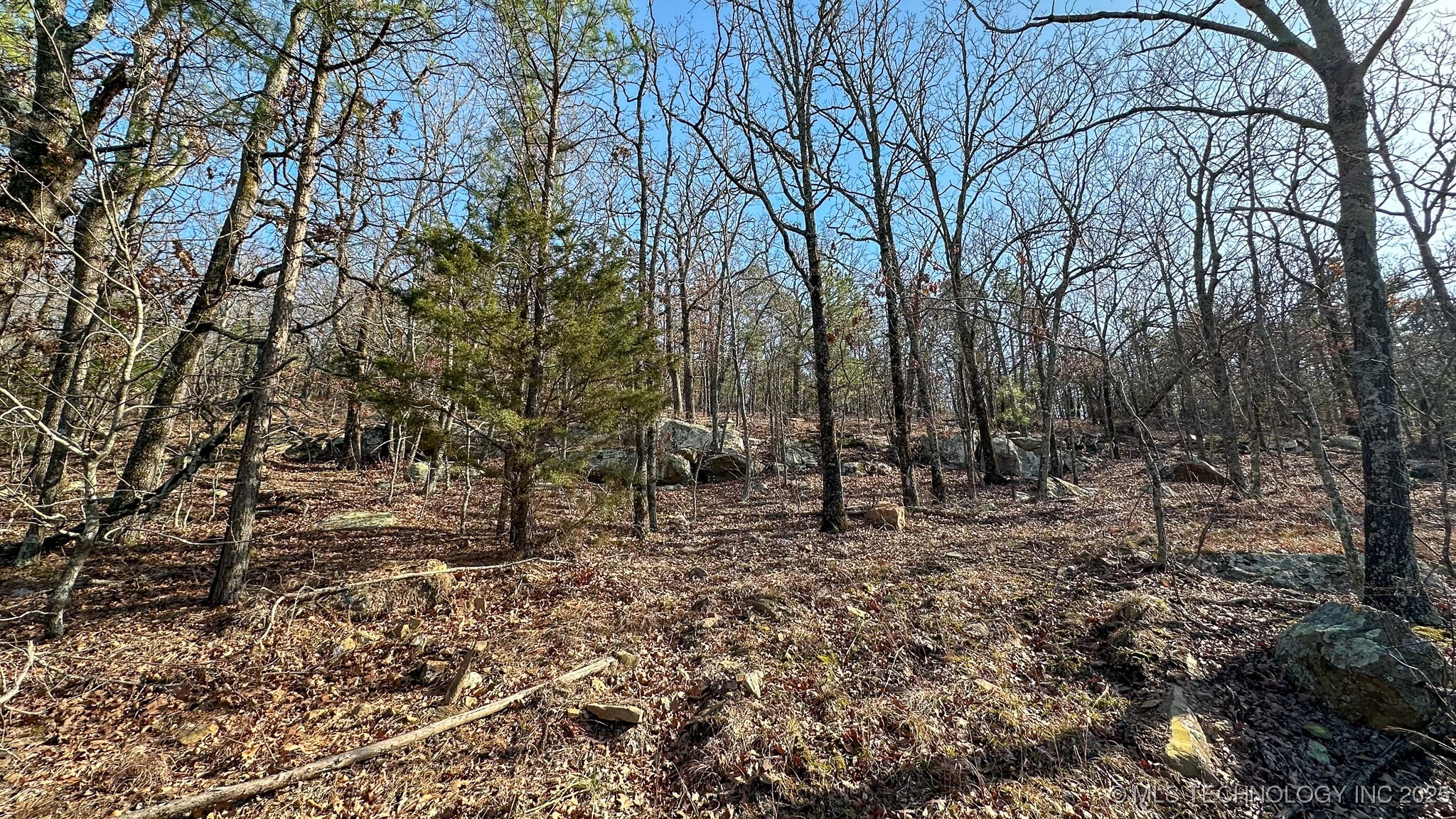 29000 State Hwy 43 Property Photo 37