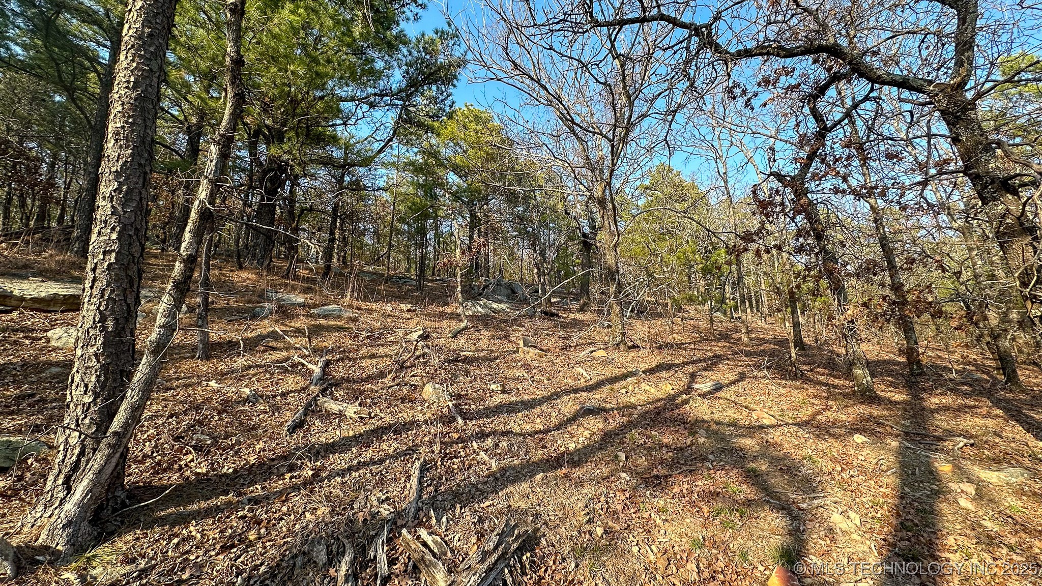 29000 State Hwy 43 Property Photo 38