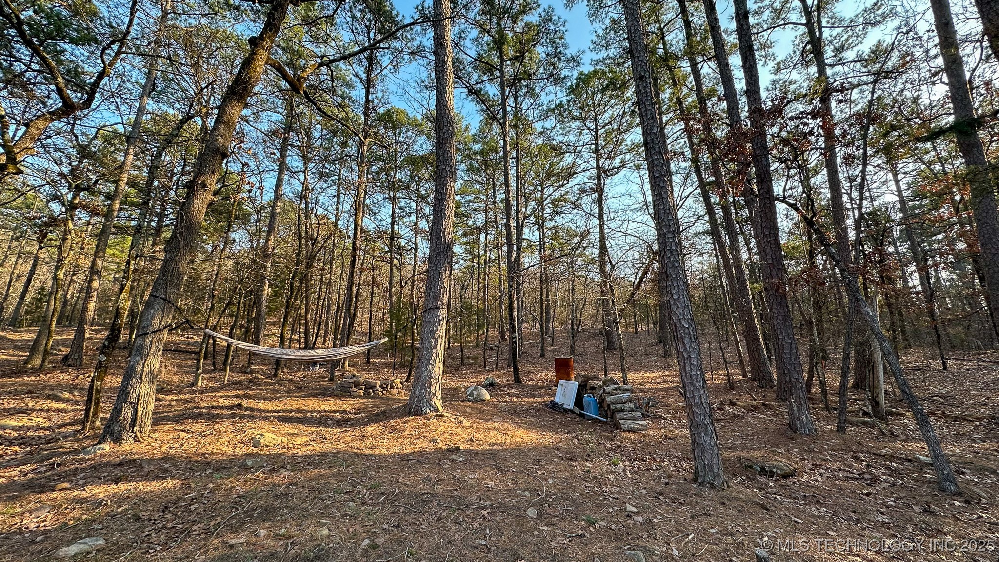 29000 State Hwy 43 Property Photo 46