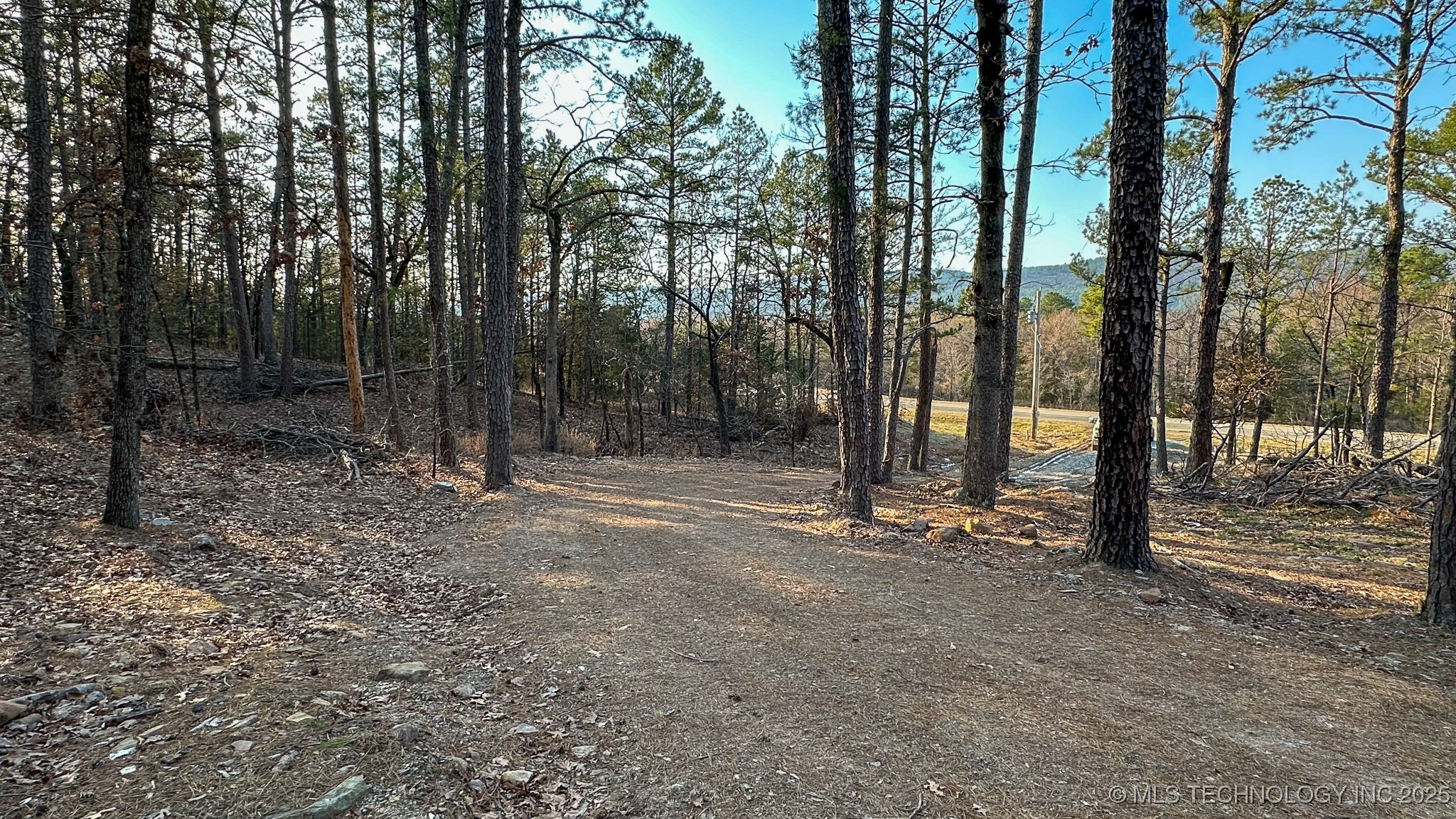 29000 State Hwy 43 Property Photo 49