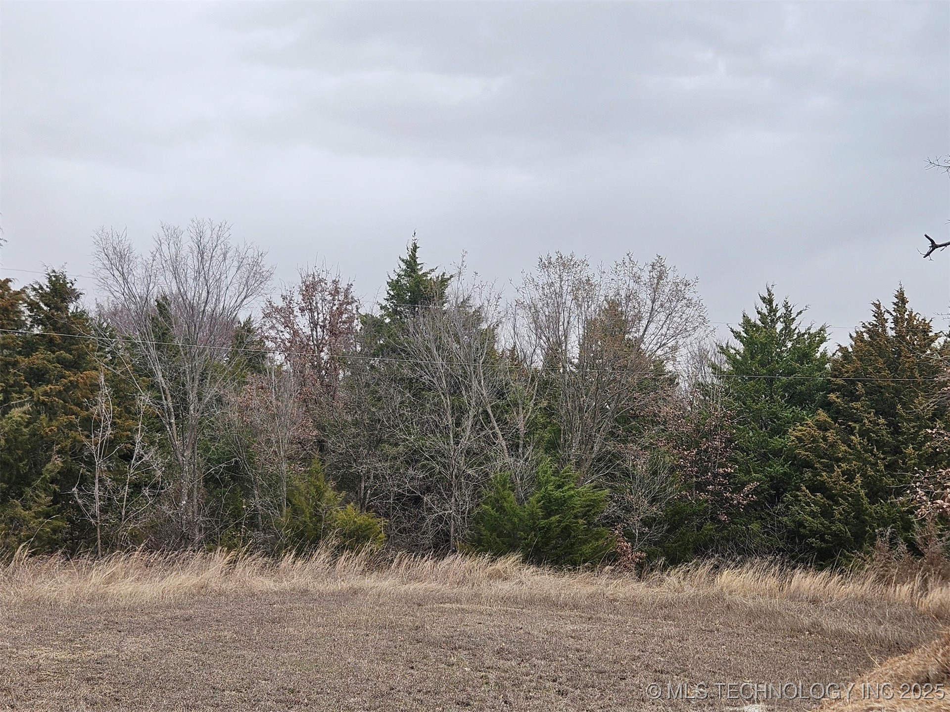 Taylor Property Photo 1