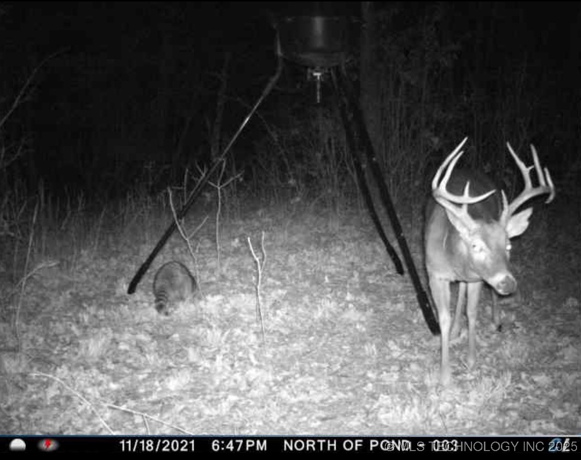 120 N 160 Road Property Photo 83