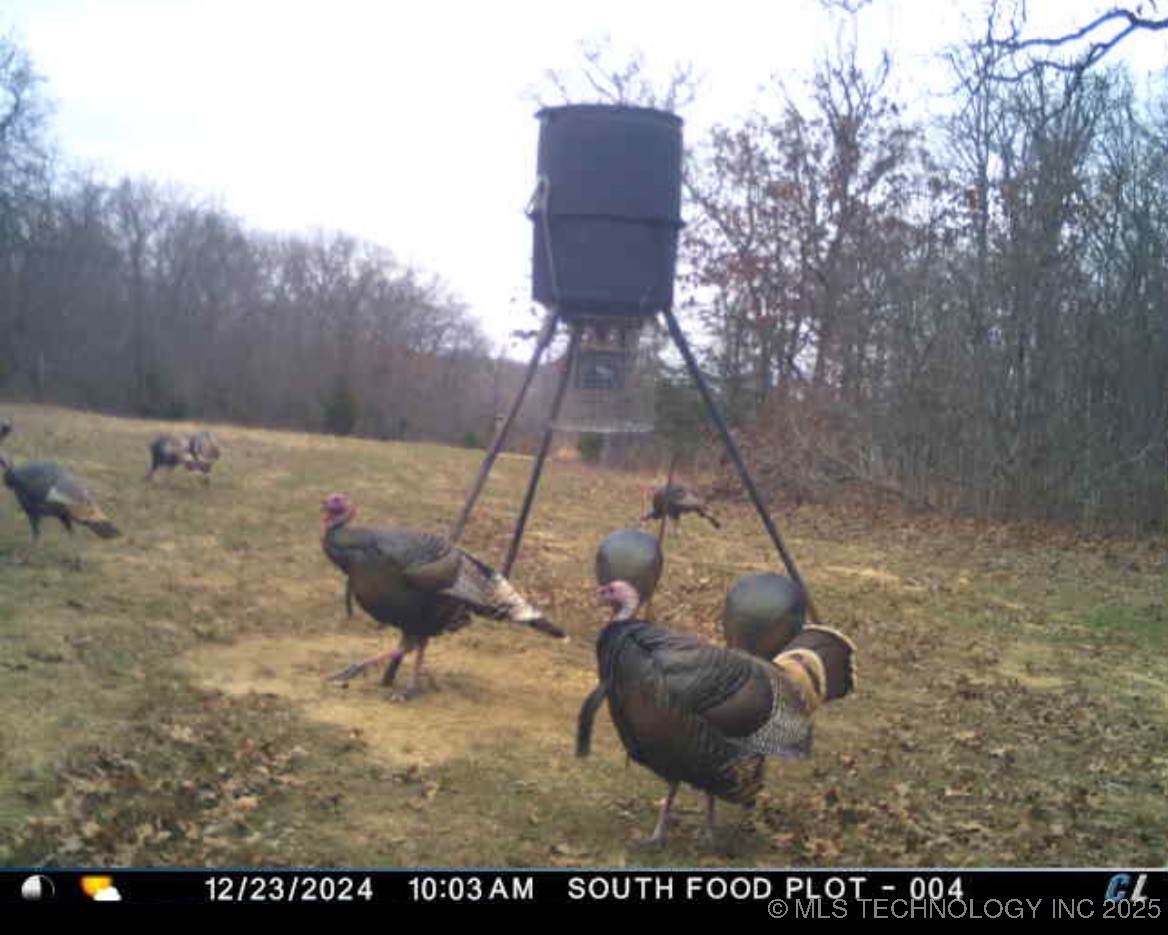 120 N 160 Road Property Photo 87