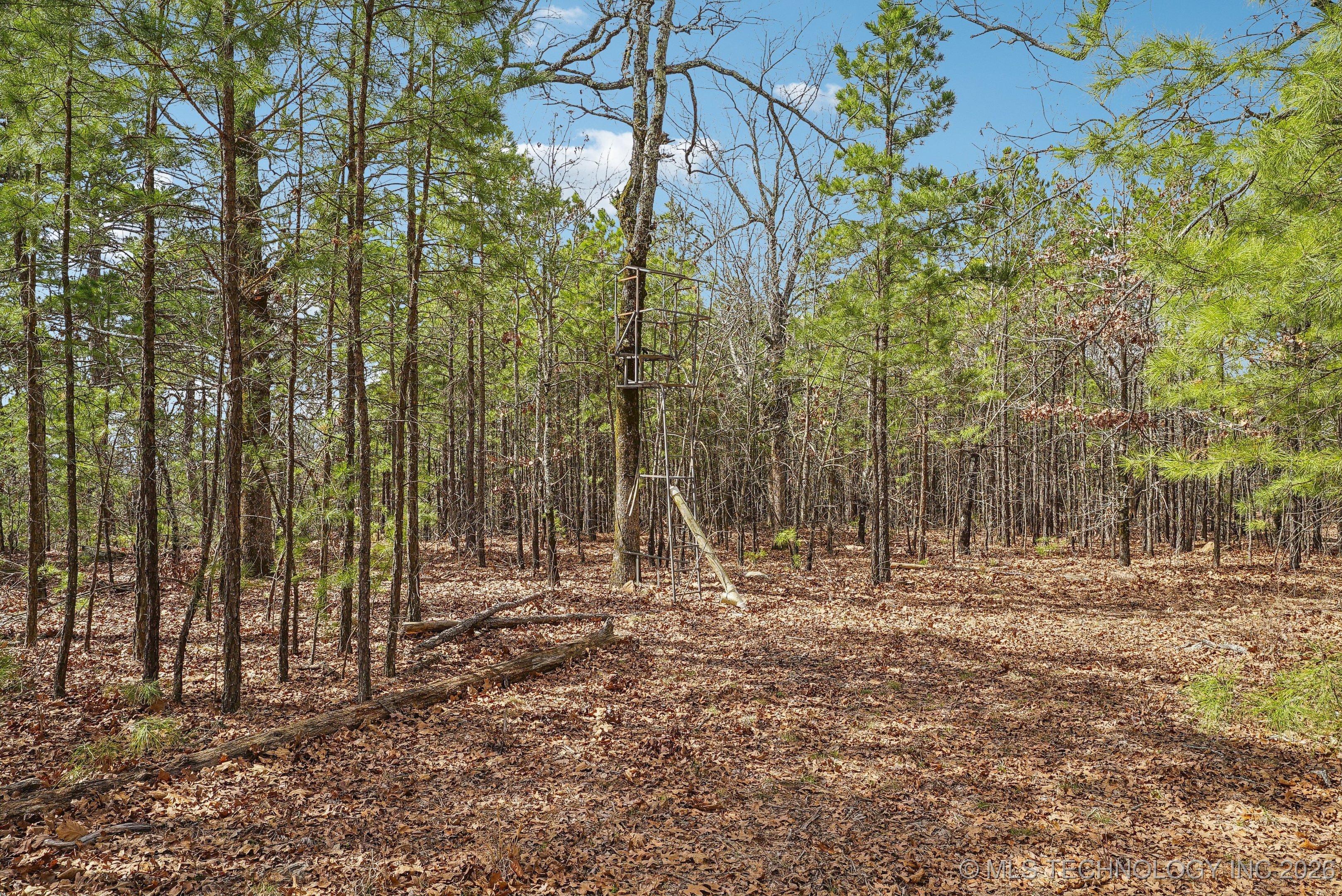 793 Nw 187th Property Photo 13