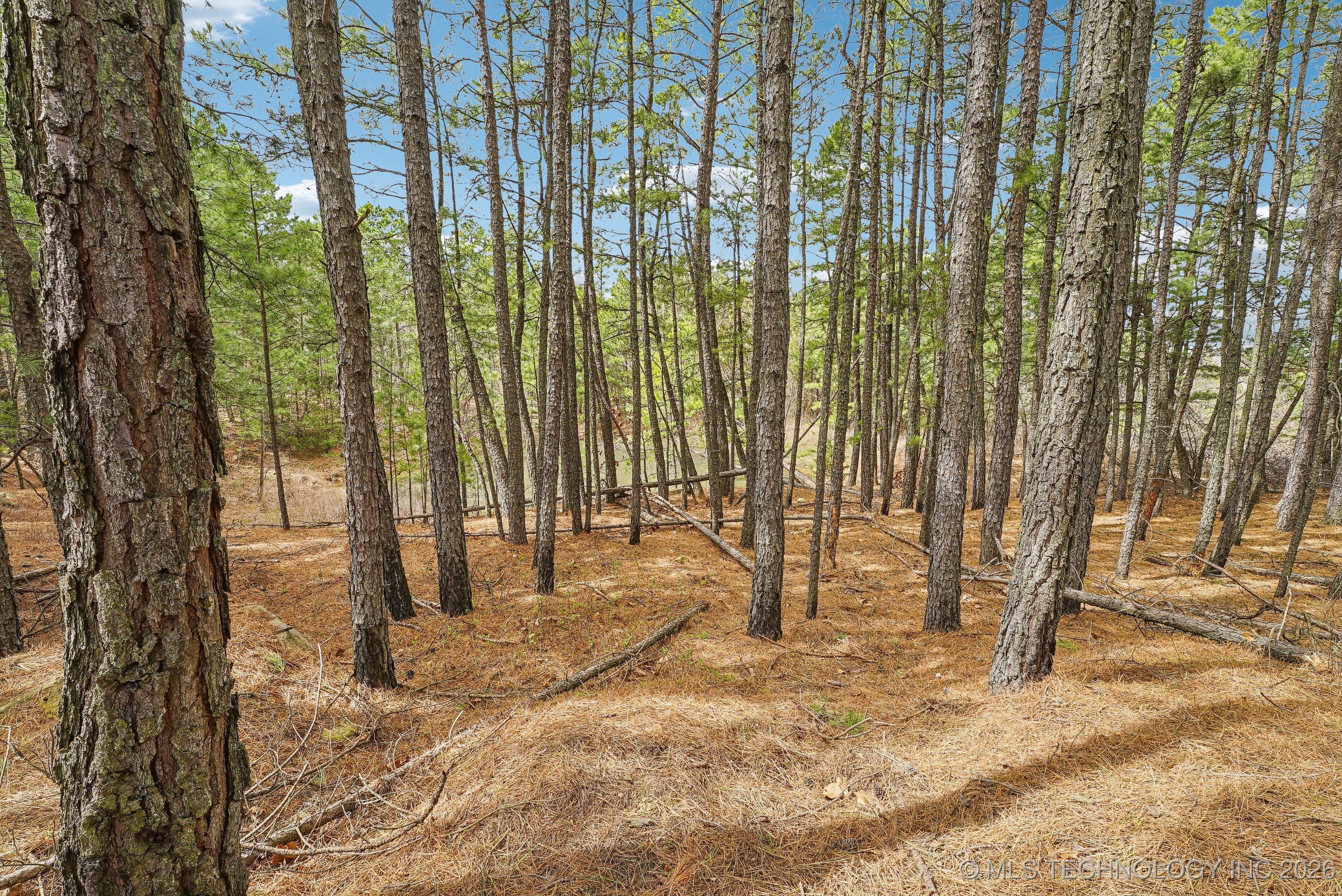 793 Nw 187th Property Photo 23