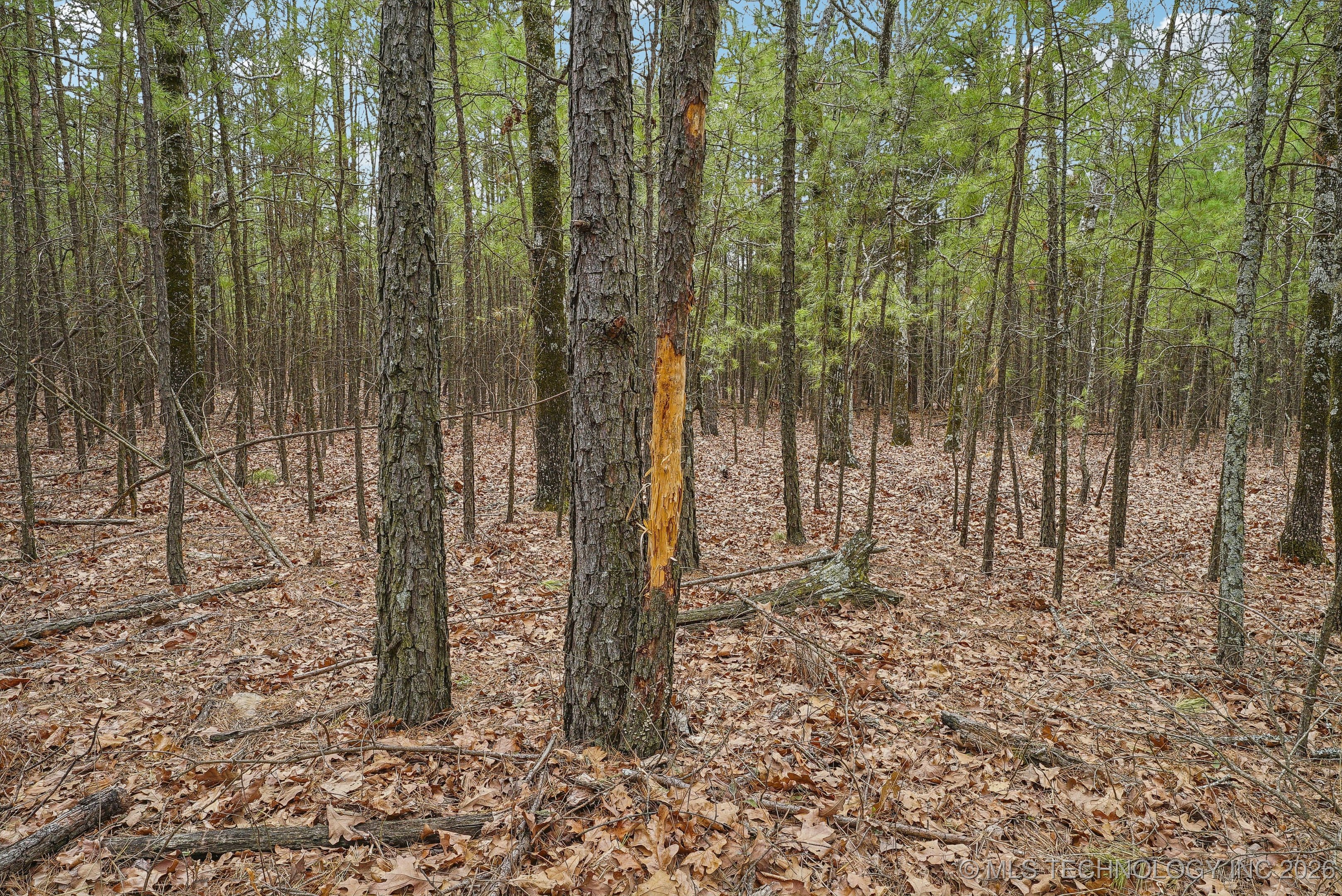 793 Nw 187th Property Photo 24