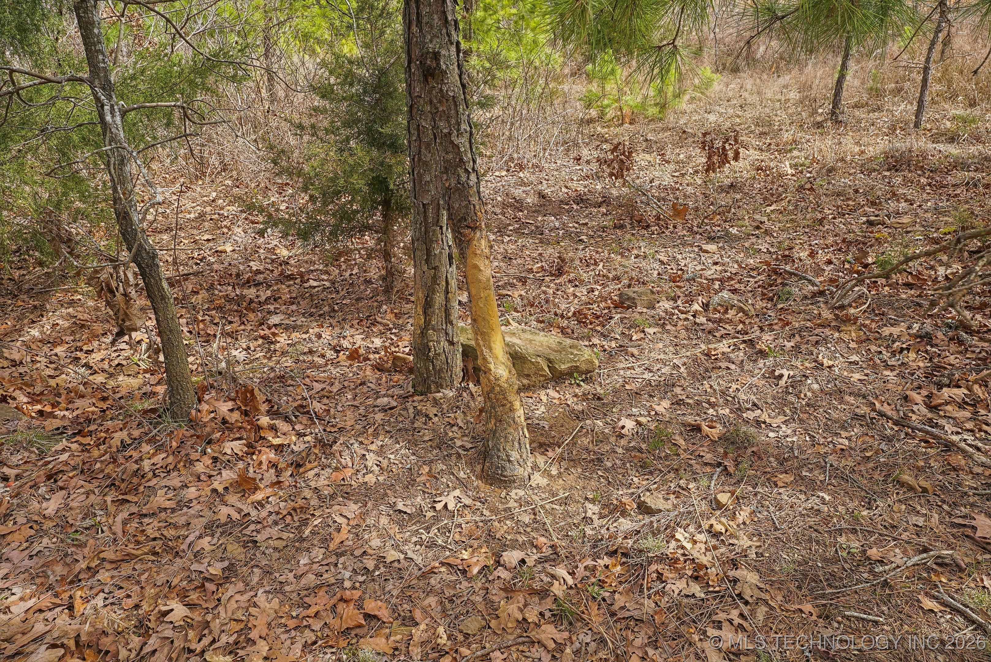 793 Nw 187th Property Photo 25