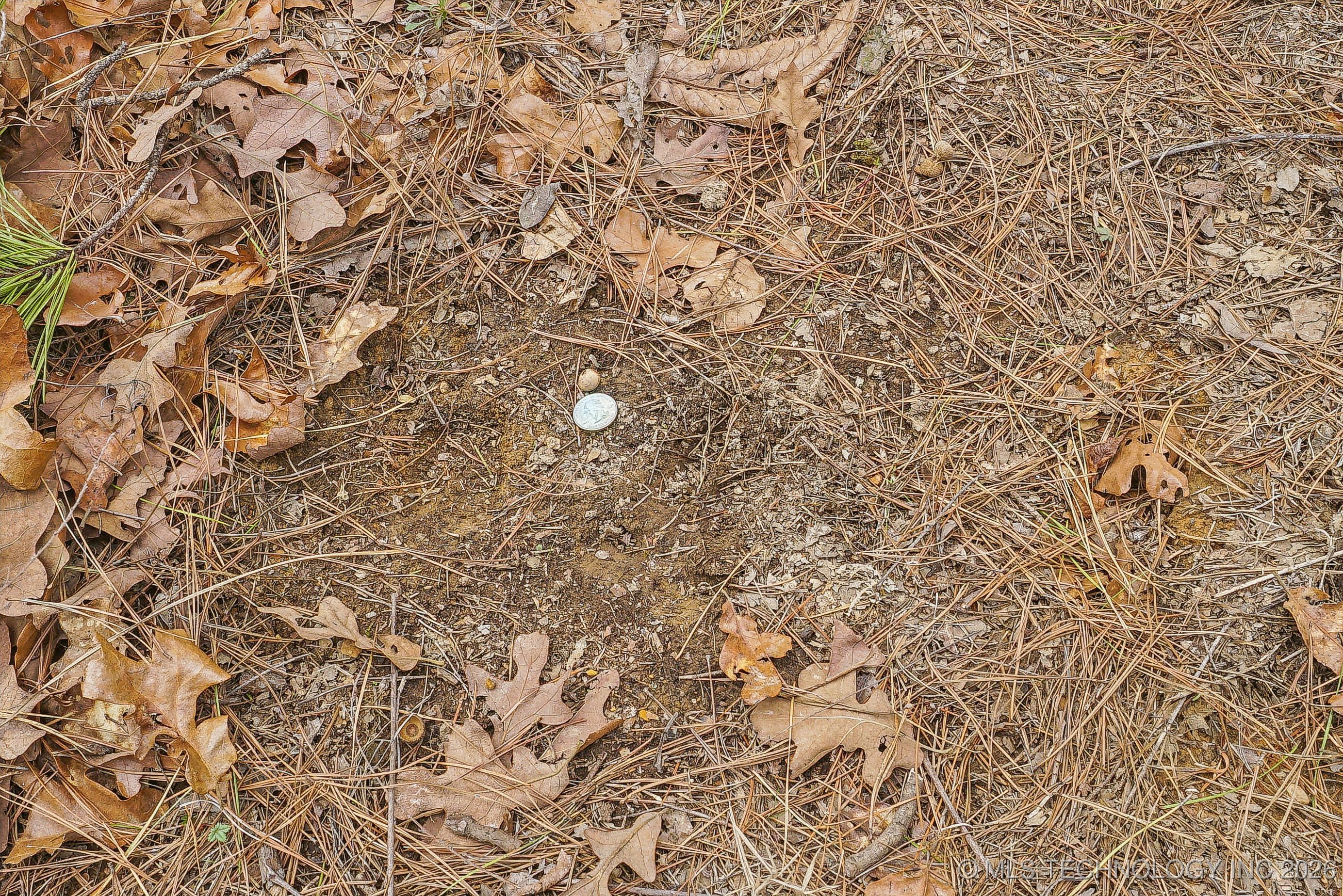 793 Nw 187th Property Photo 26