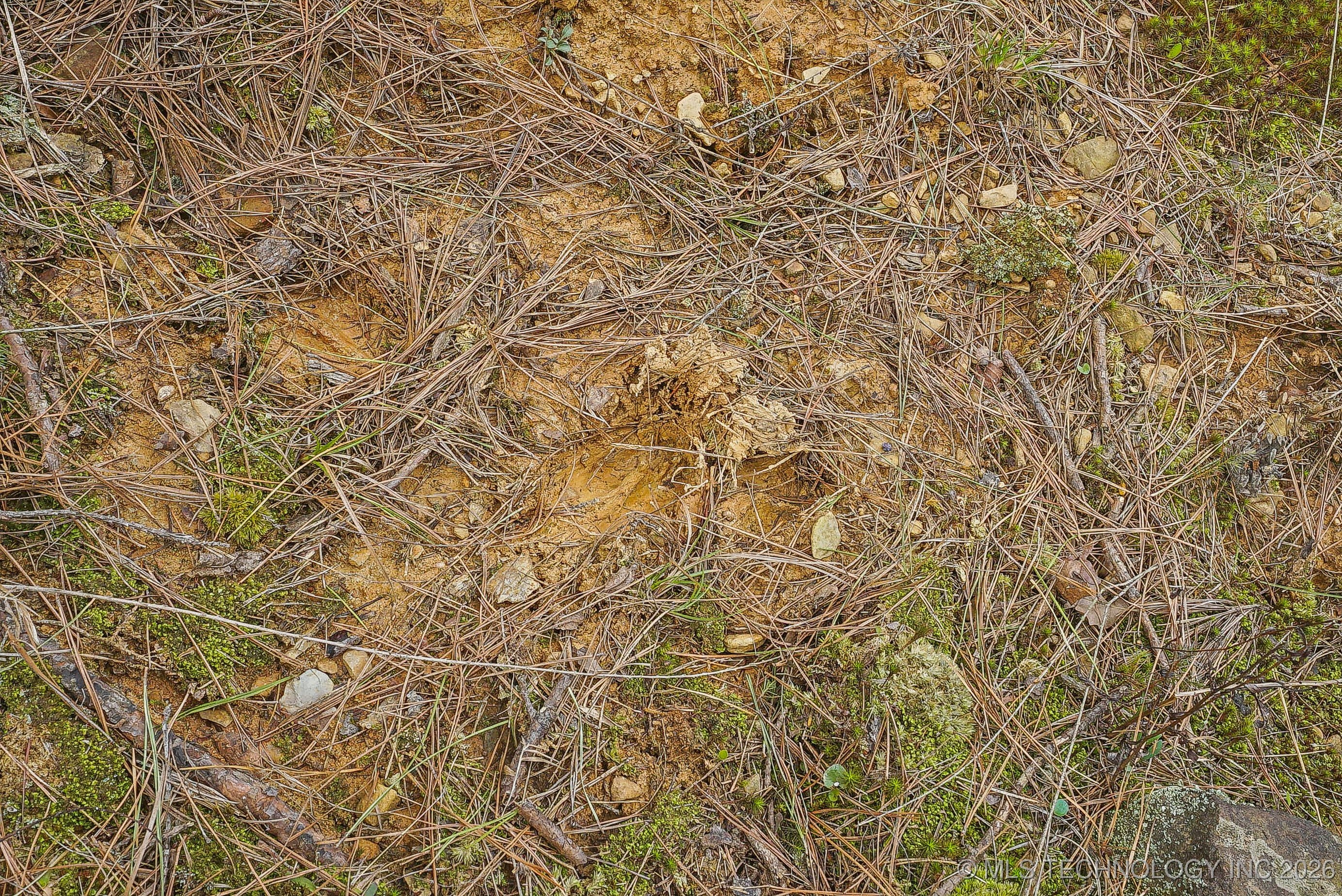 793 Nw 187th Property Photo 27