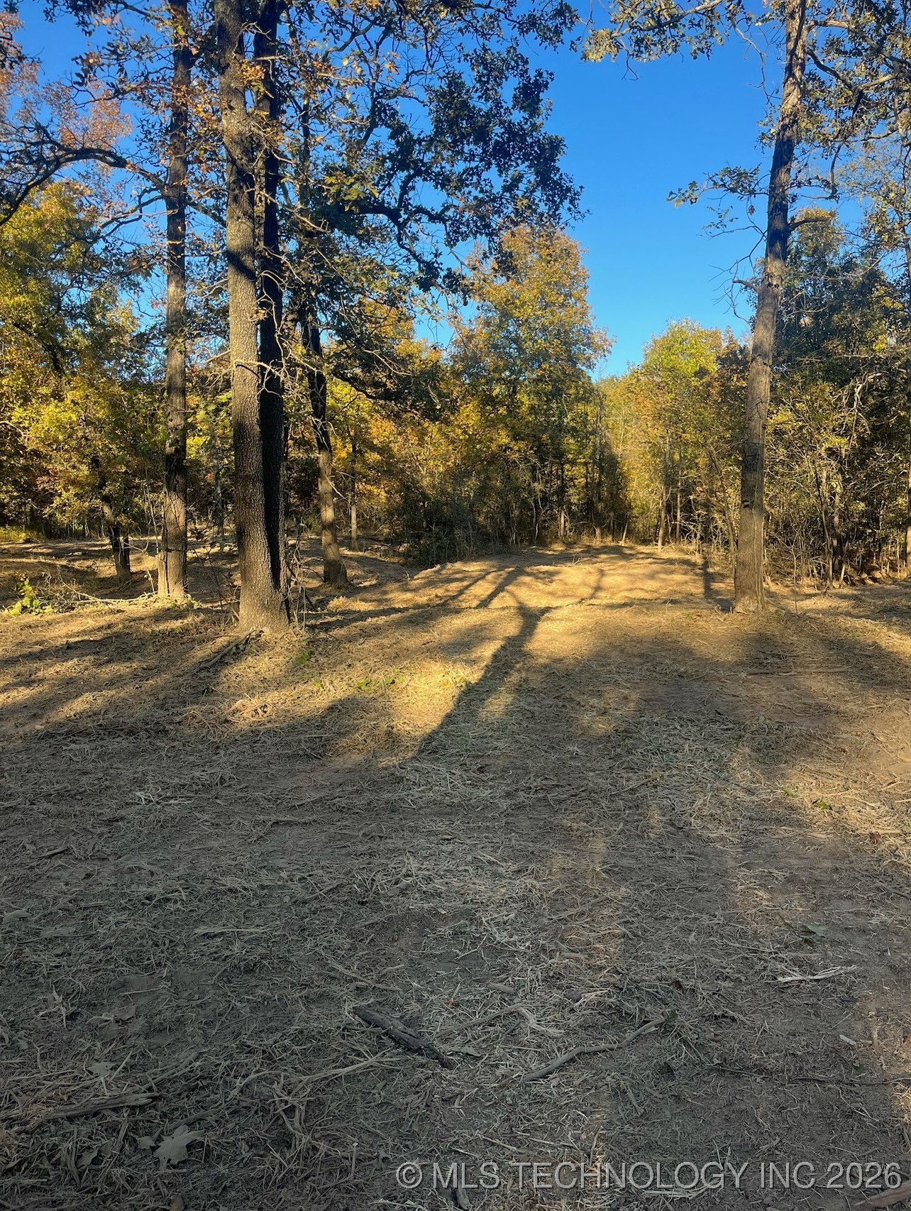 10010 Celia Berryhill Road Property Photo 3
