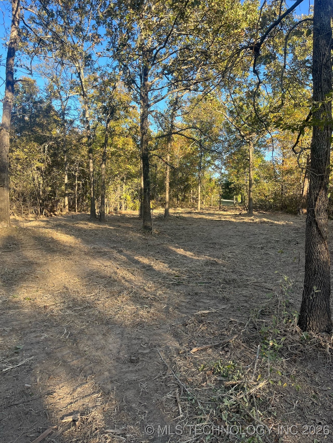10010 Celia Berryhill Road Property Photo 4