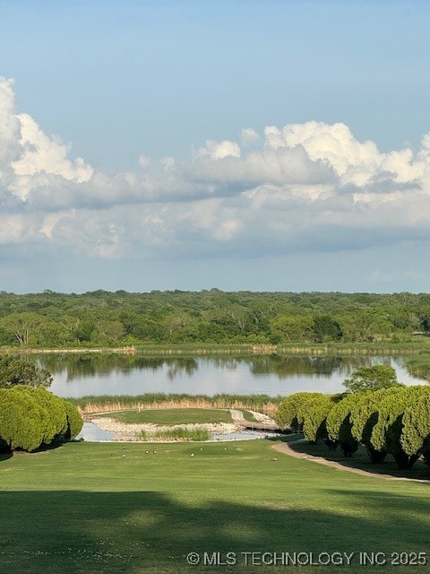 Dogwood Property Photo 4