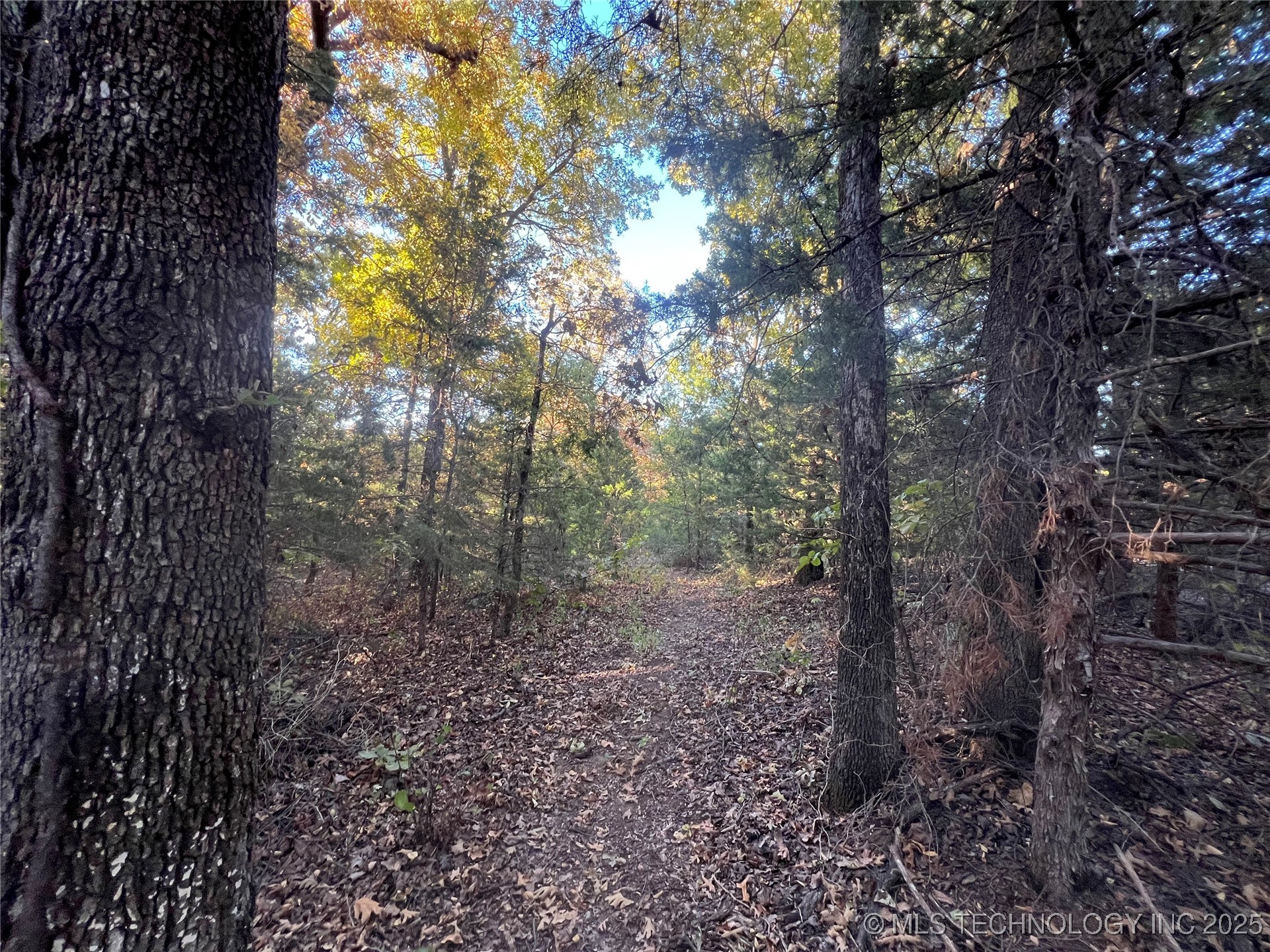 0000 5800 Road Property Photo 2