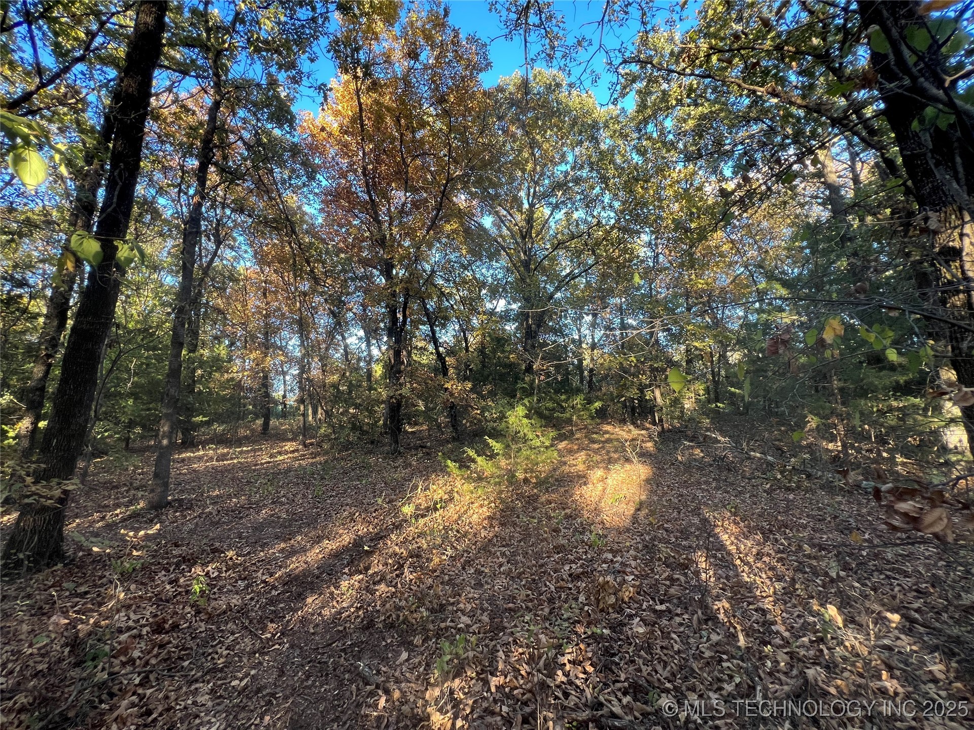 0000 5800 Road Property Photo 4