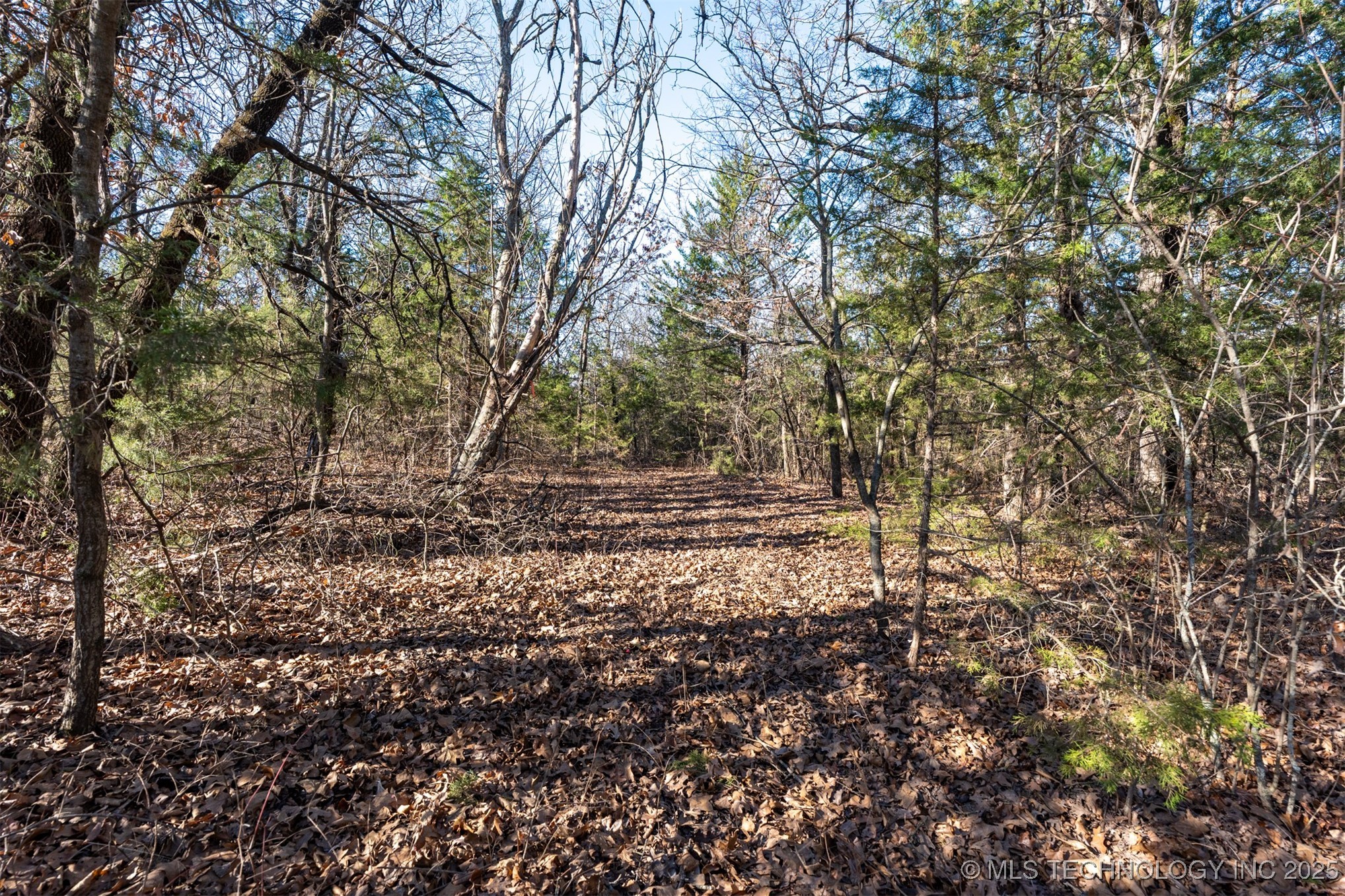 0000 5800 Road Property Photo 6