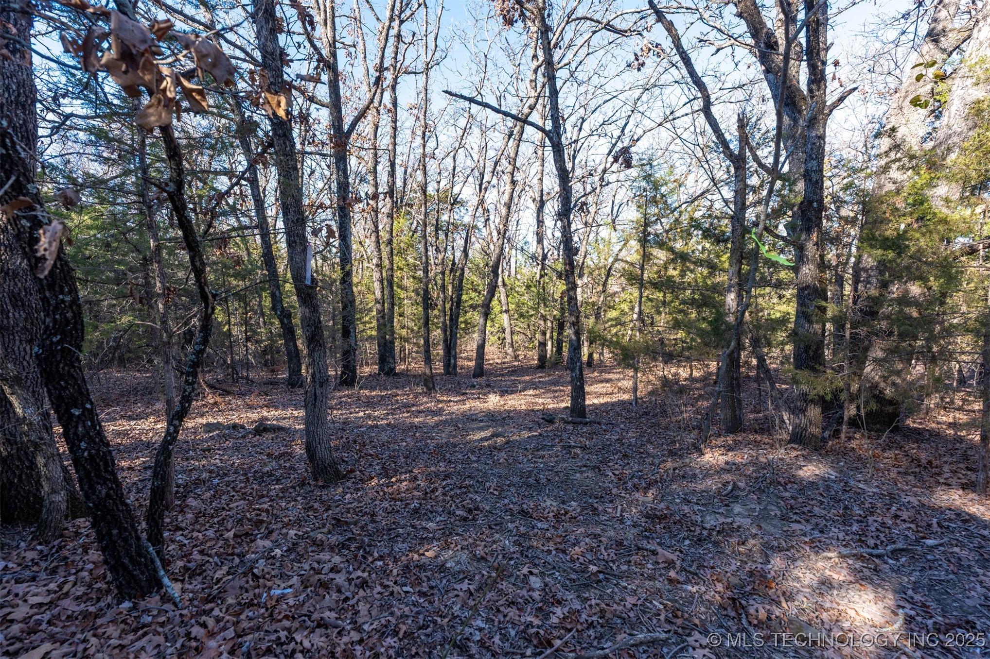 0000 5800 Road Property Photo 8