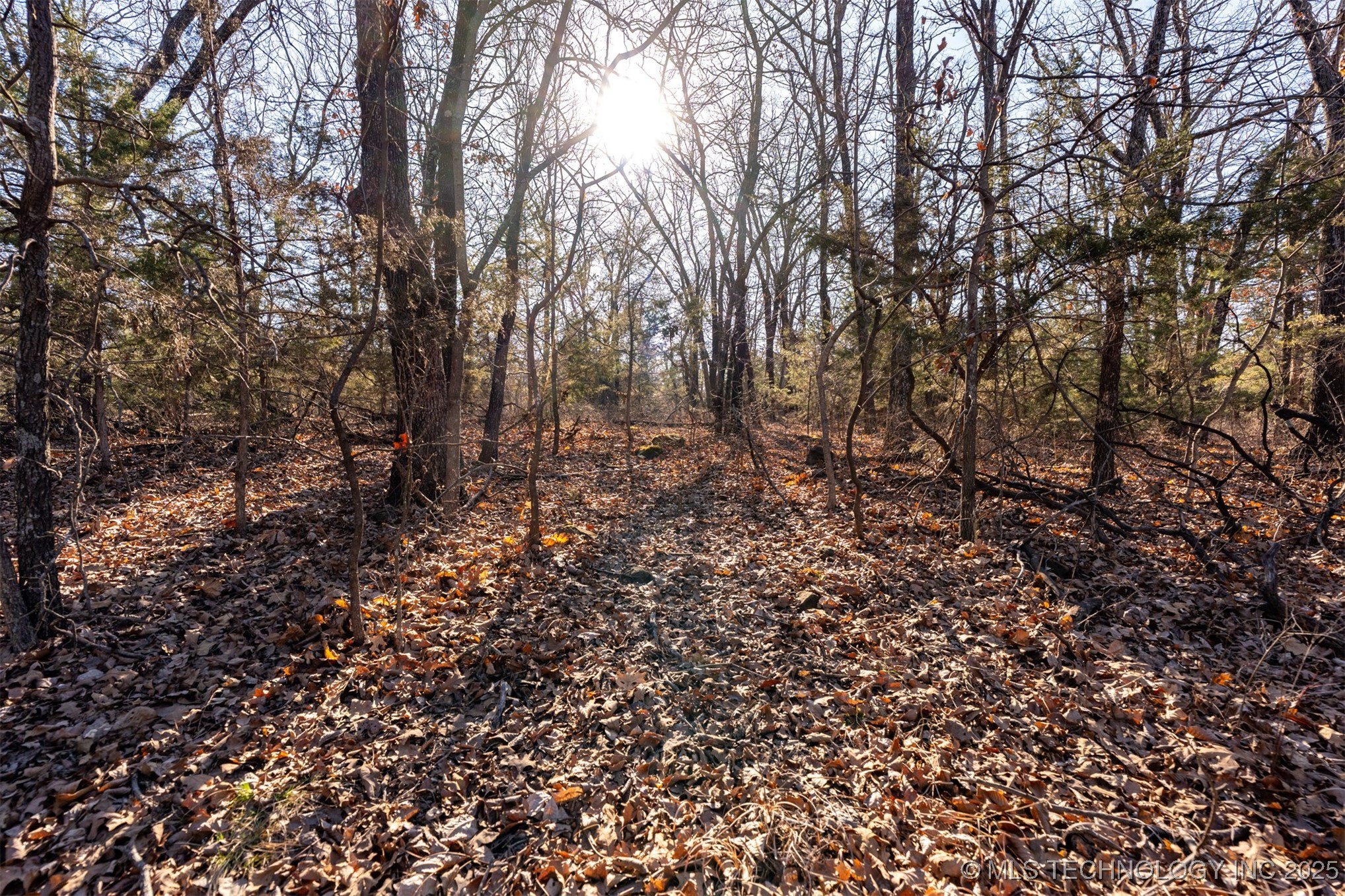 0000 5800 Road Property Photo 9