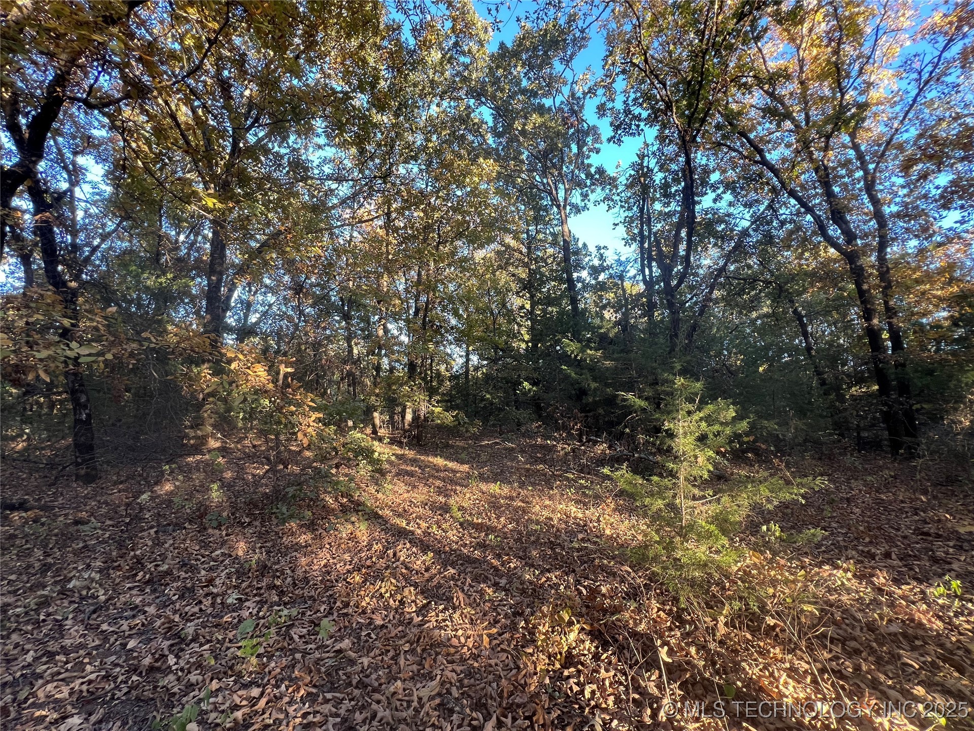 0000 5800 Road Property Photo 16