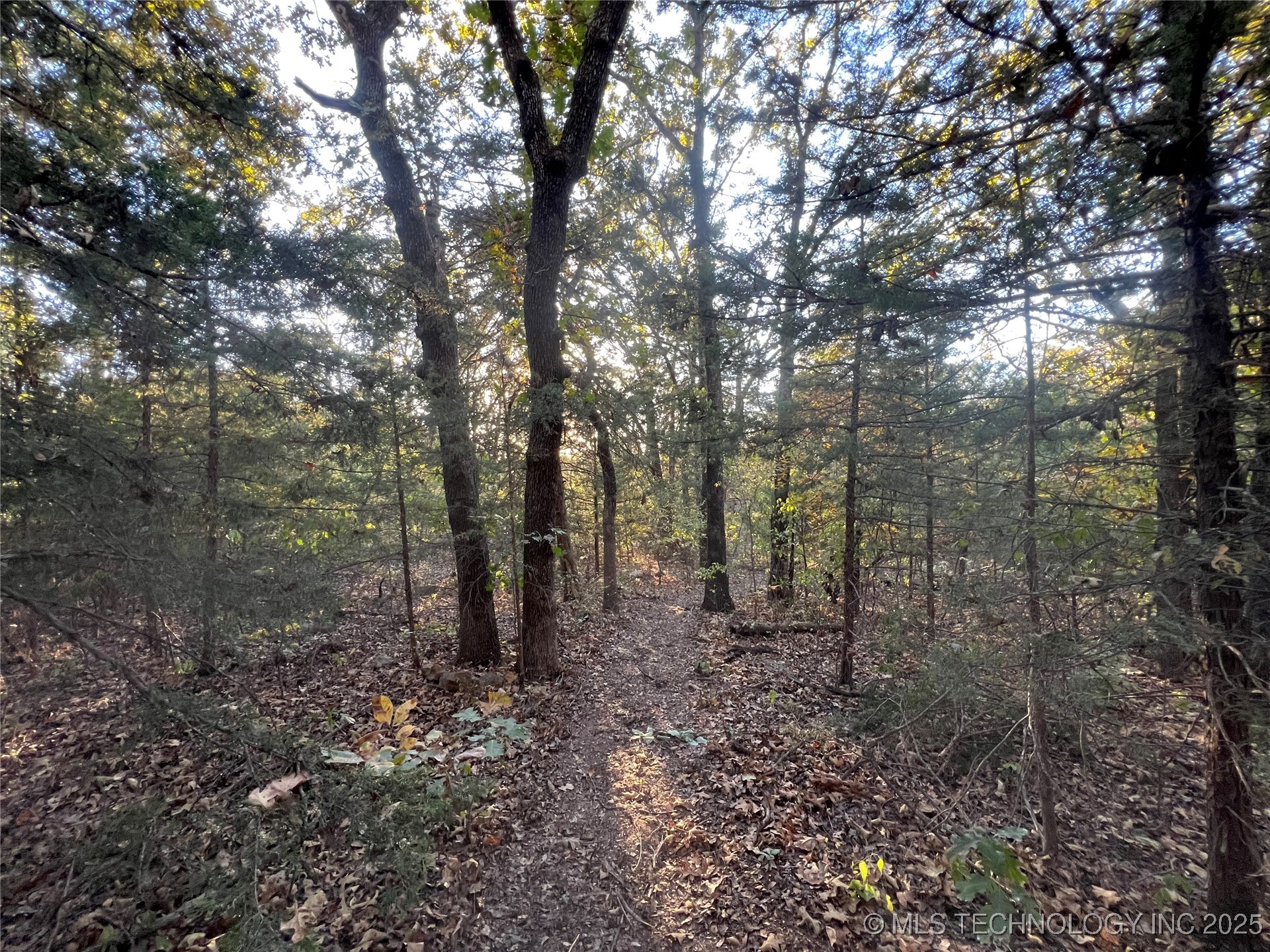 0000 5800 Road Property Photo 17