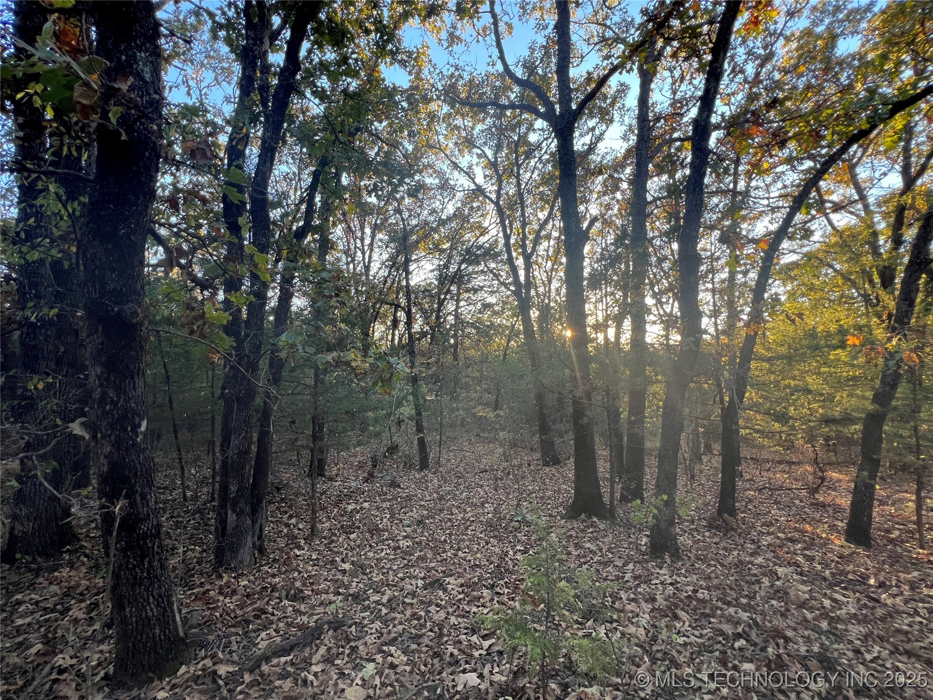 0000 5800 Road Property Photo 21