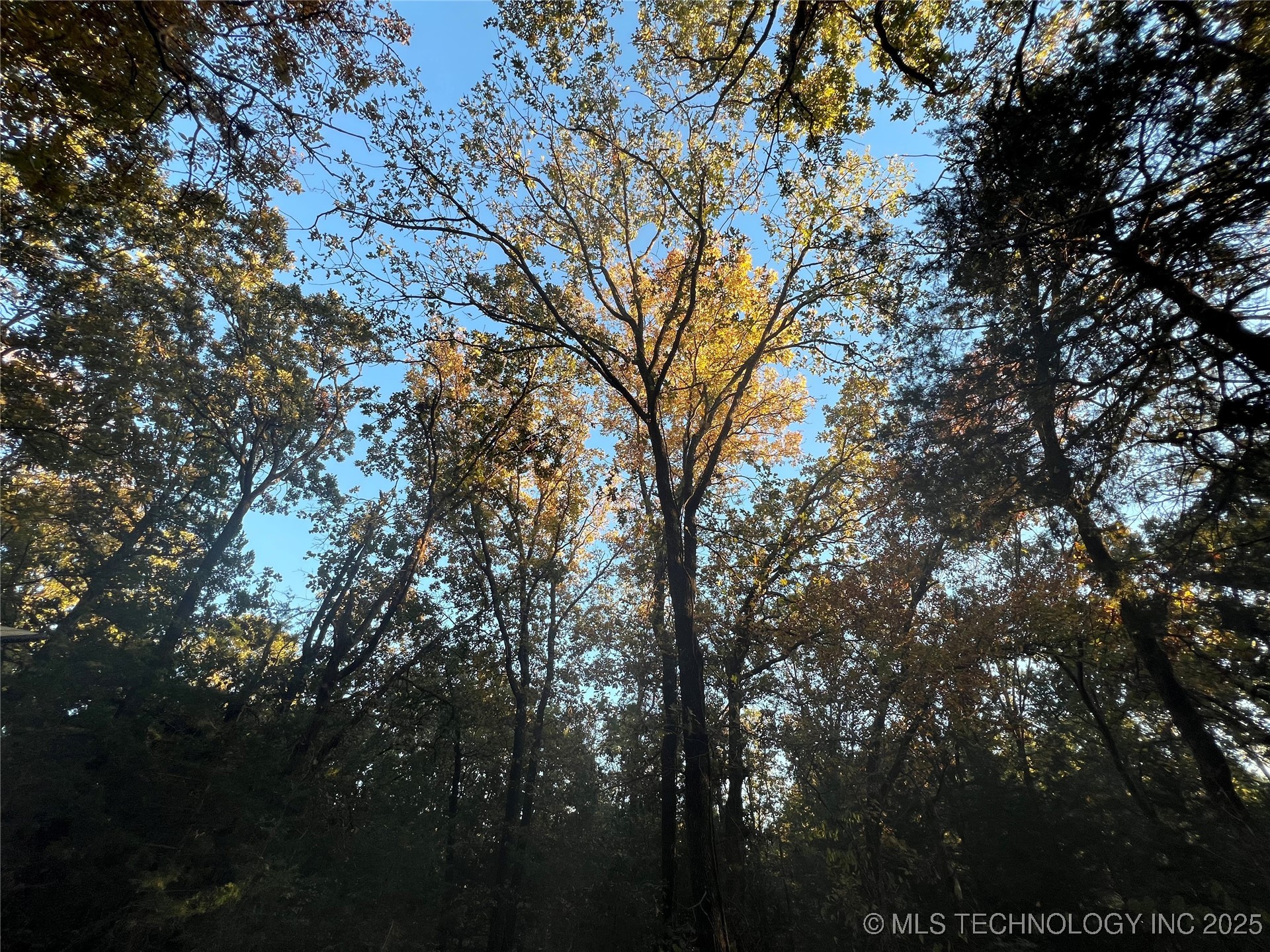 0000 5800 Road Property Photo 23