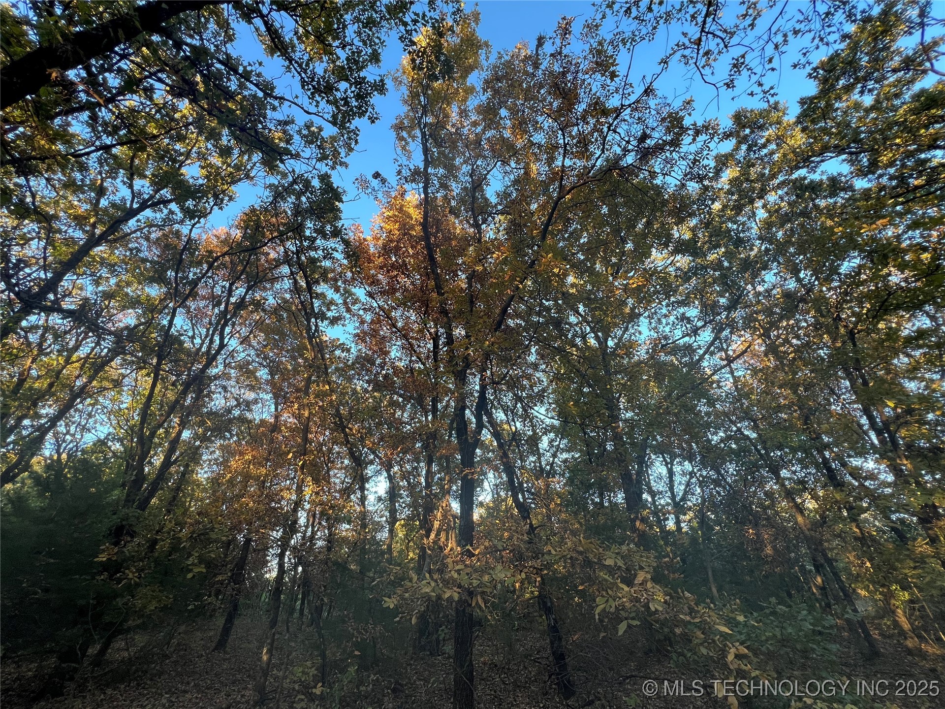 0000 5800 Road Property Photo 24