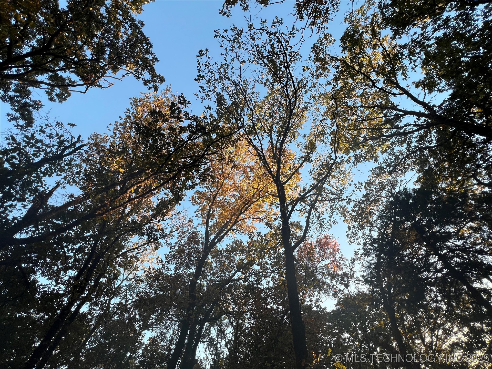 0000 5800 Road Property Photo 28