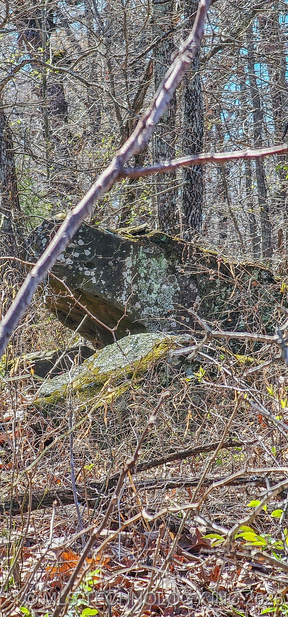 12 Lenna Road Property Photo 5