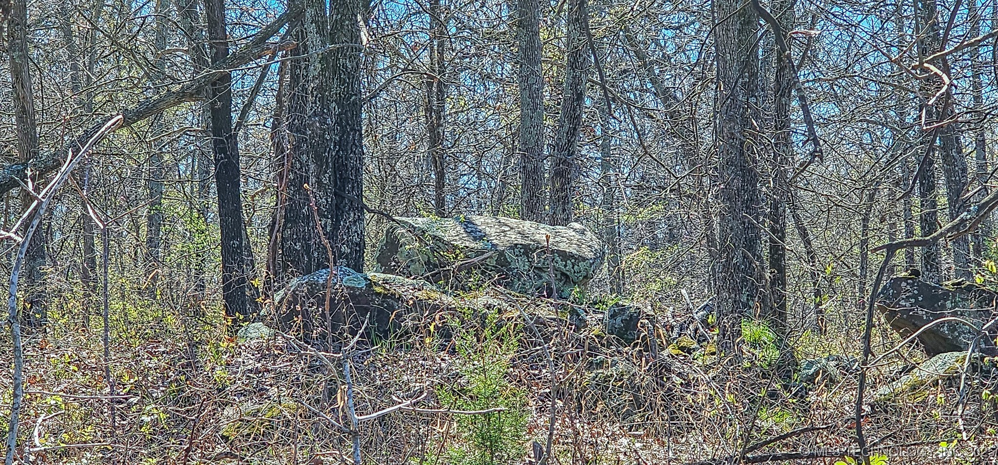 12 Lenna Road Property Photo 9