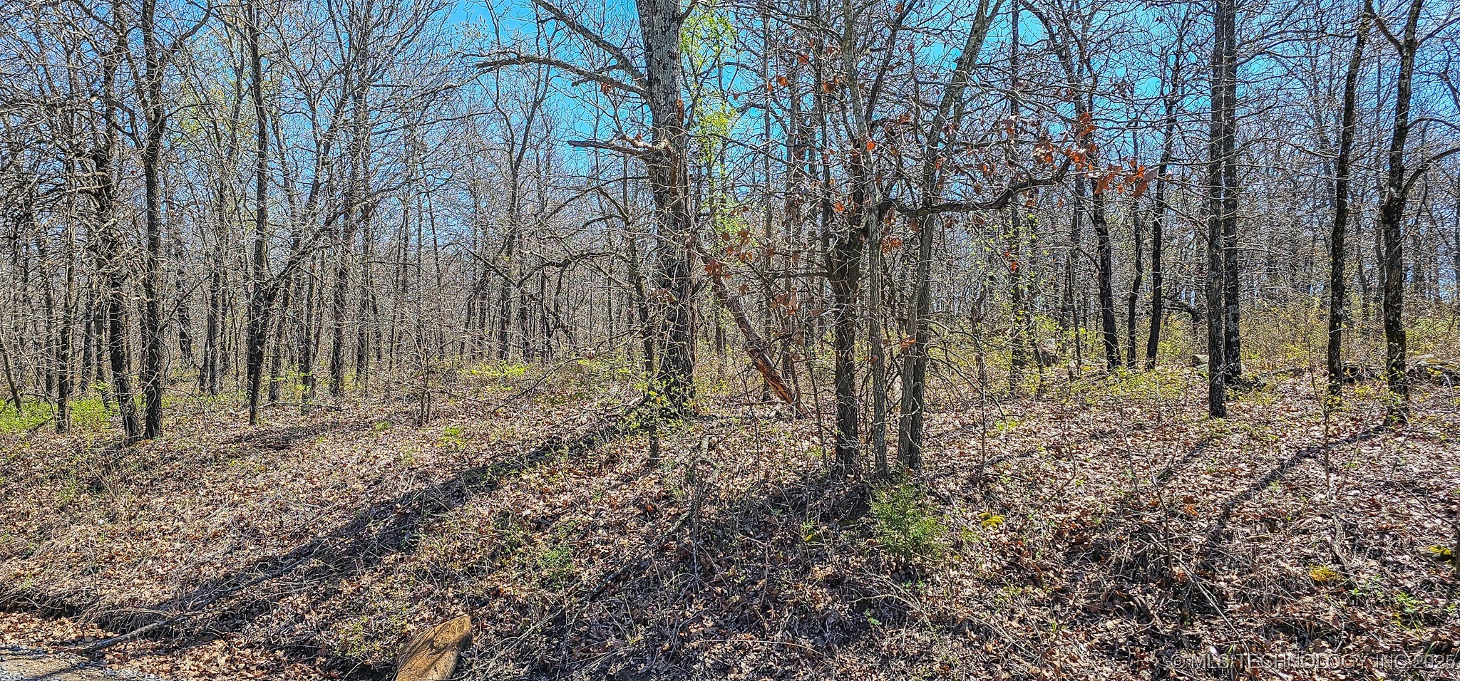 12 Lenna Road Property Photo 14