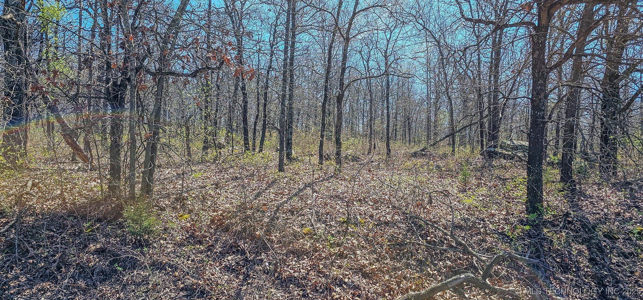 12 Lenna Road Property Photo 15