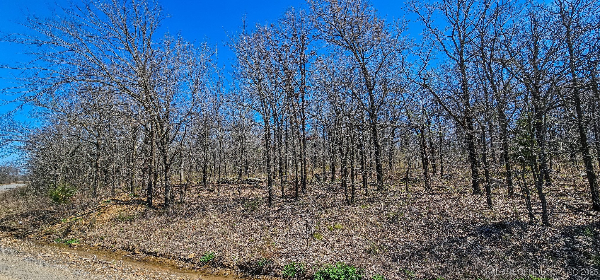 12 Lenna Road Property Photo 23